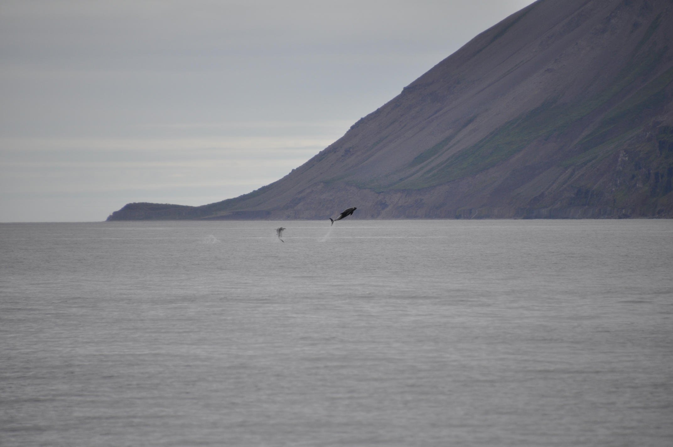 Tuesday, 9 August 2022