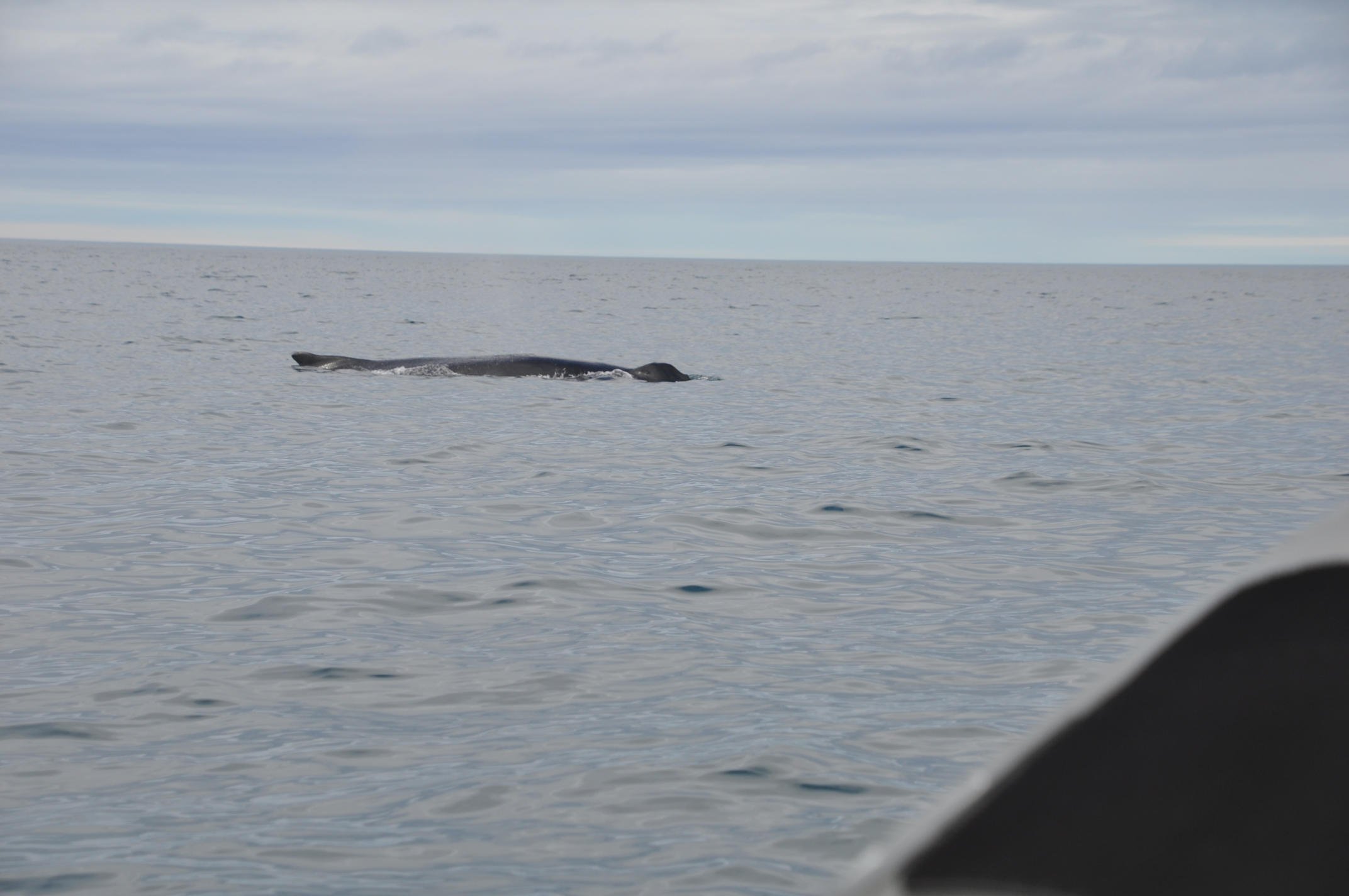 Tuesday, 9 August 2022