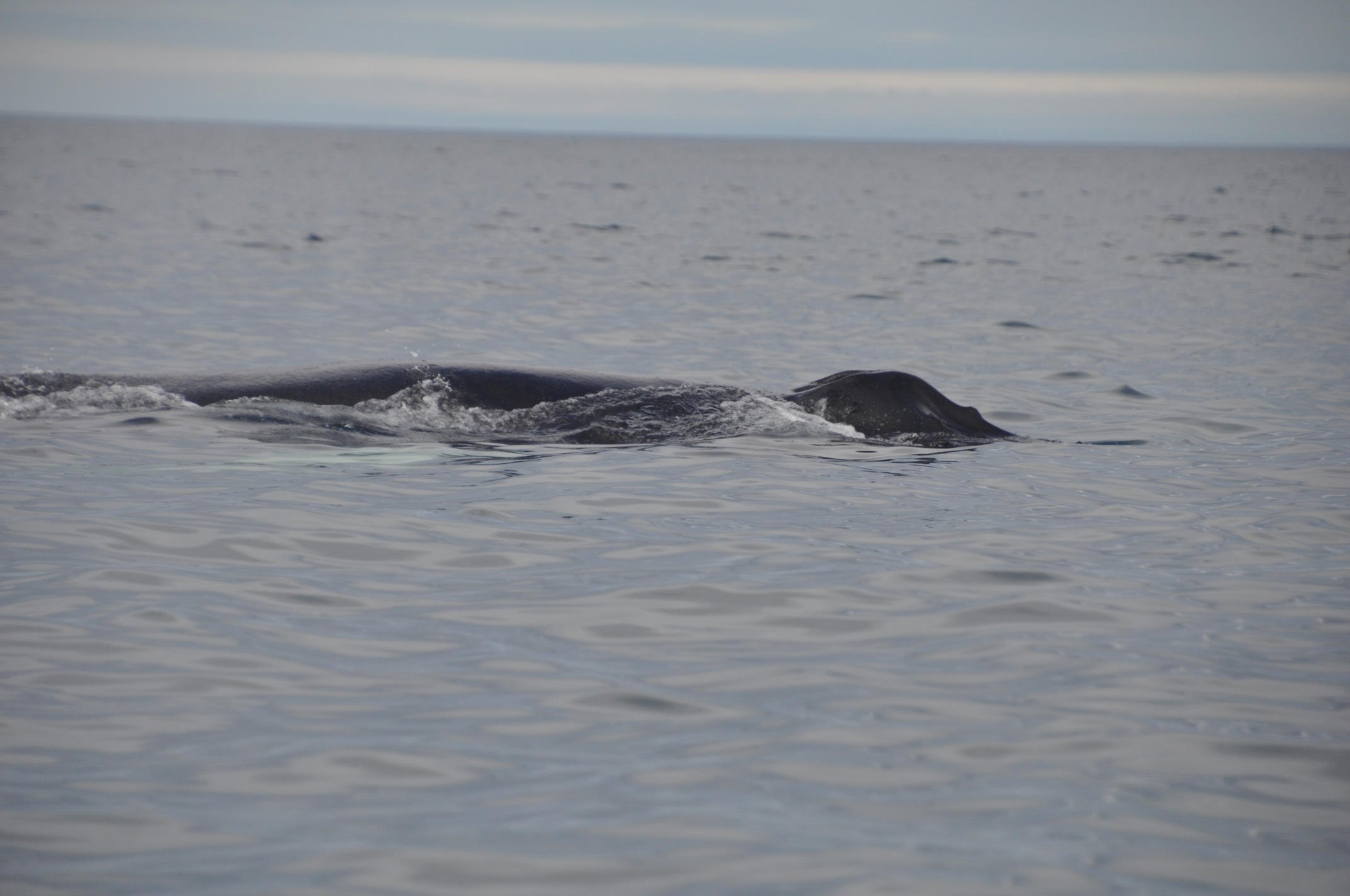 Tuesday, 9 August 2022