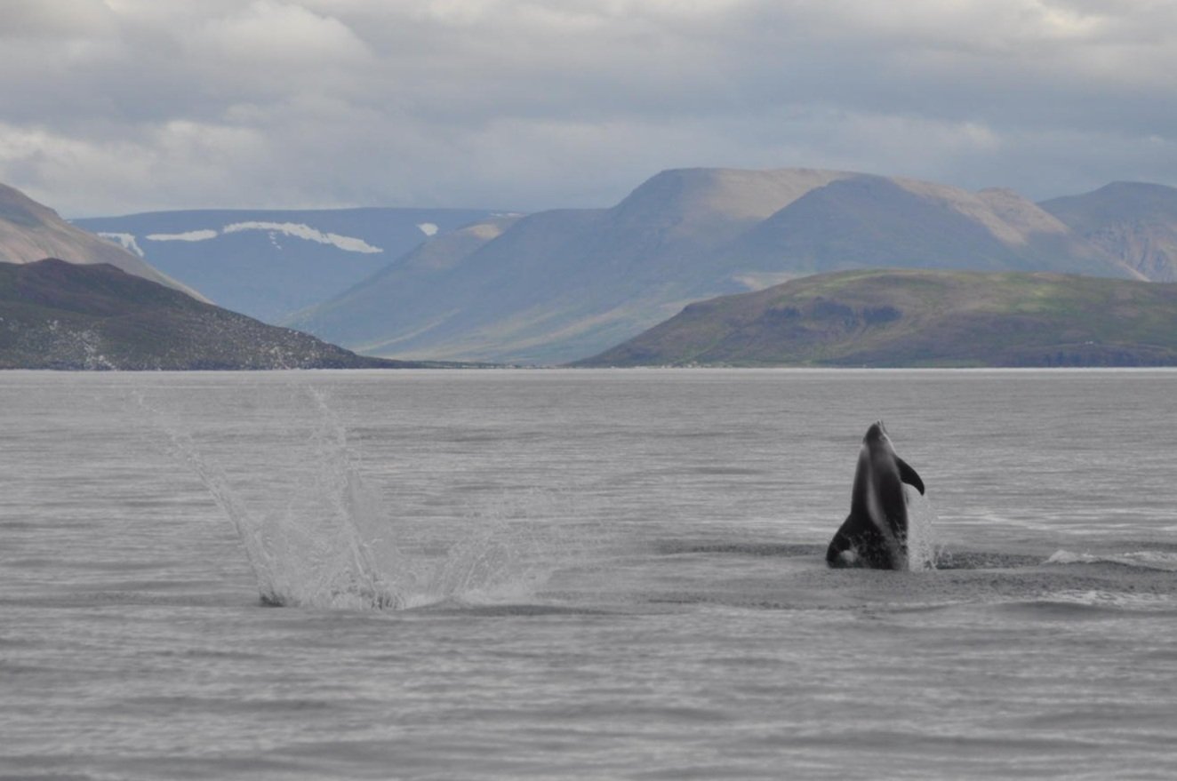 Tuesday, 9 August 2022
