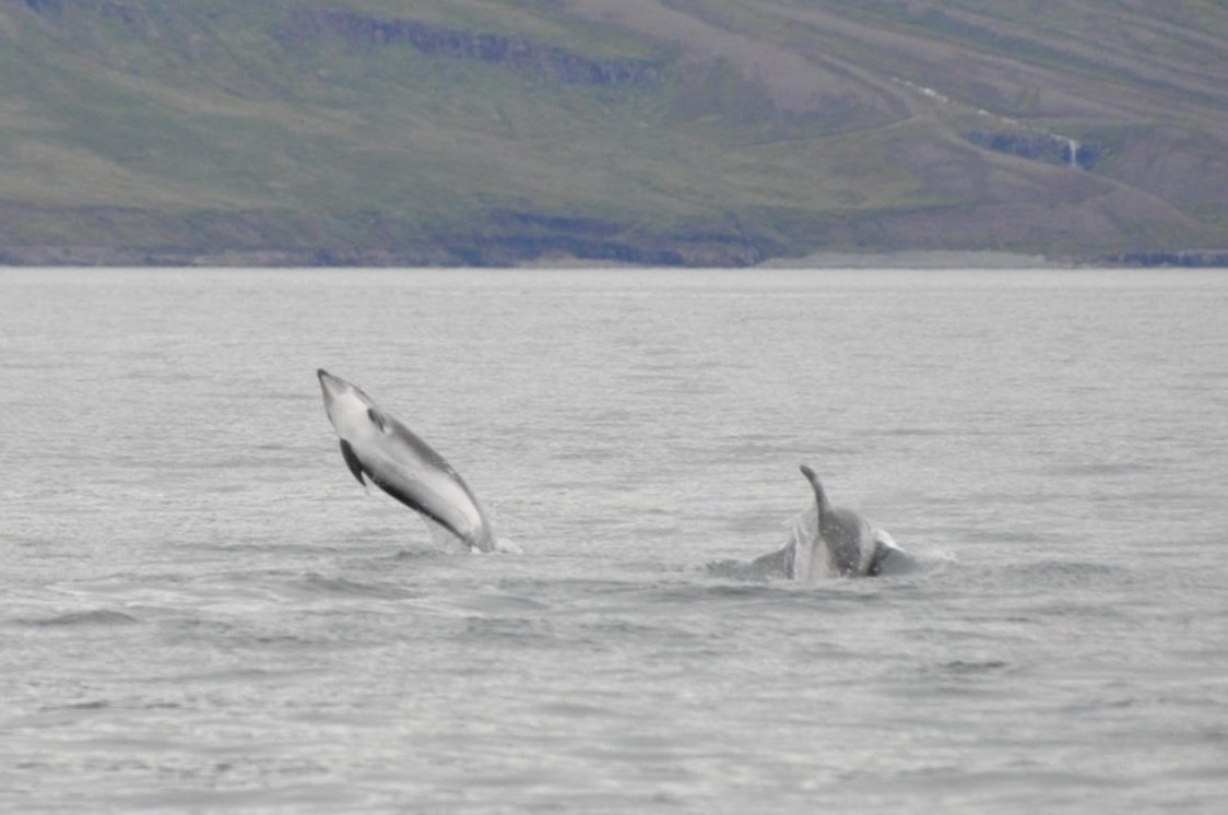 Tuesday, 9 August 2022