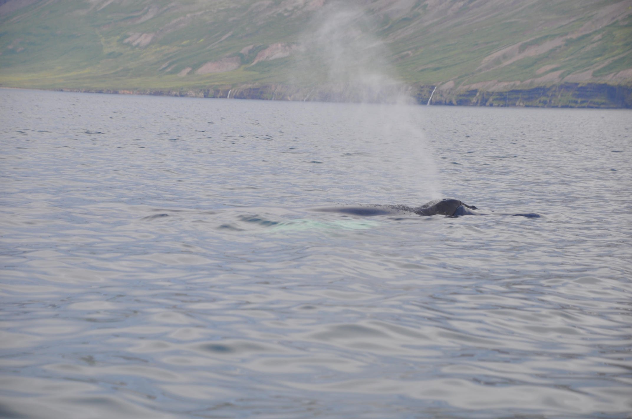 Tuesday, 9 August 2022