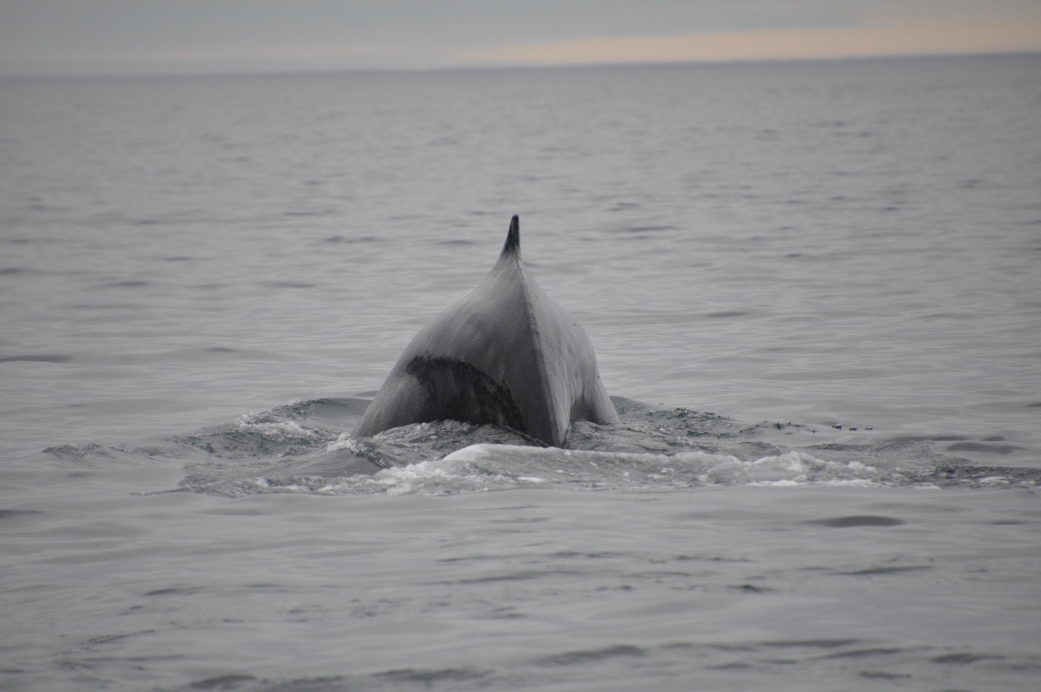 Tuesday, 9 August 2022