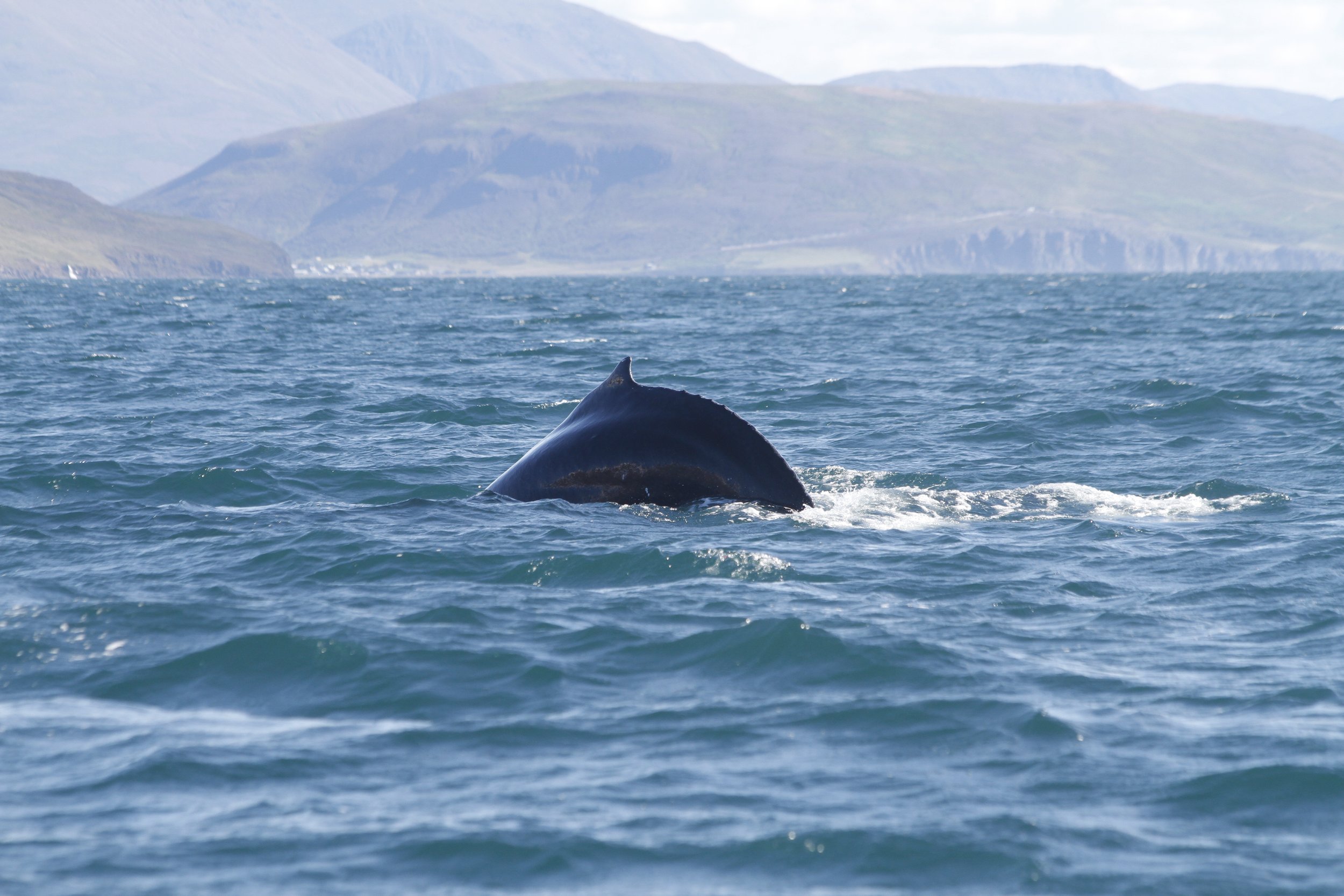 Tuesday, 16 August 2022