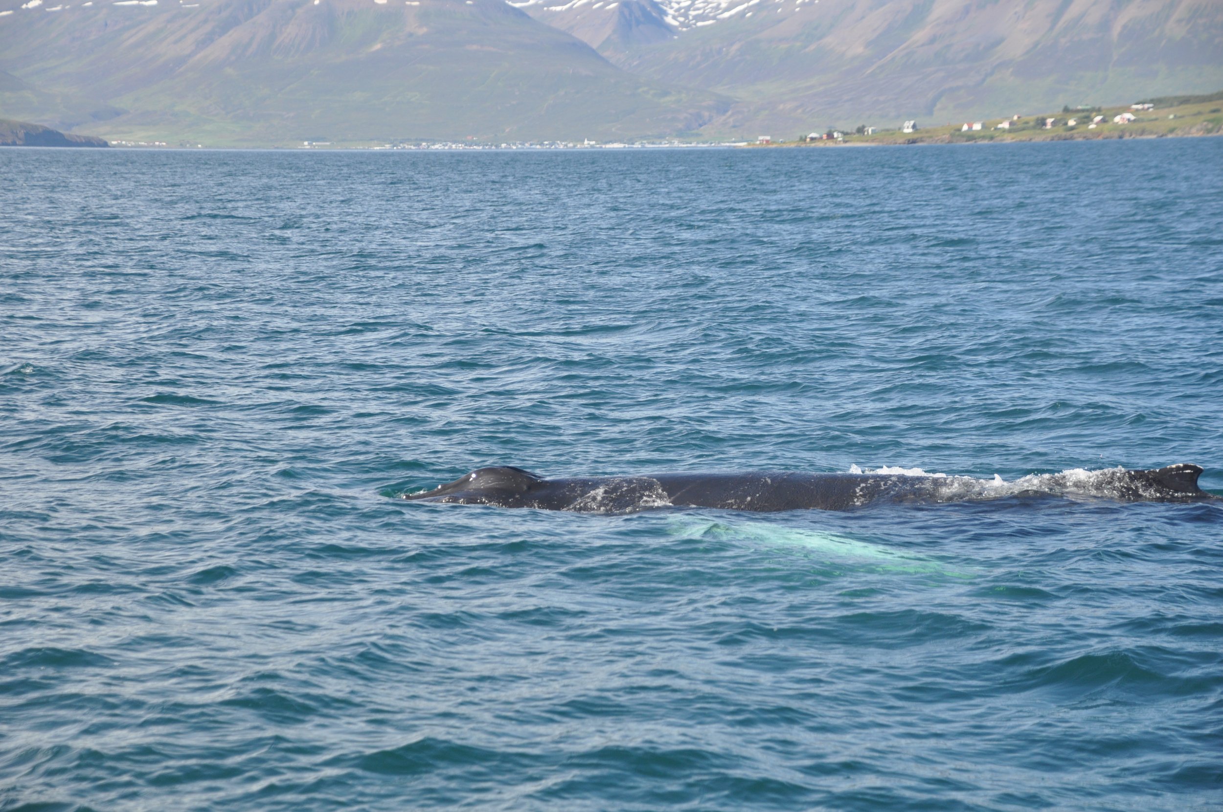 Wednesday, 17 August 2022