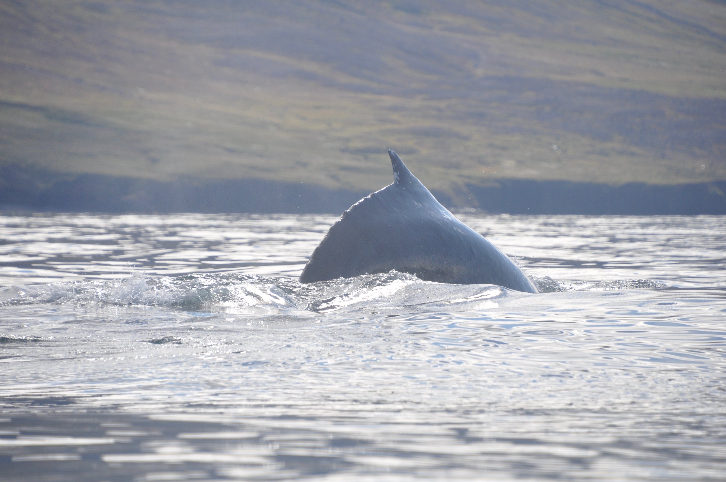 Thursday, 18 August 2022