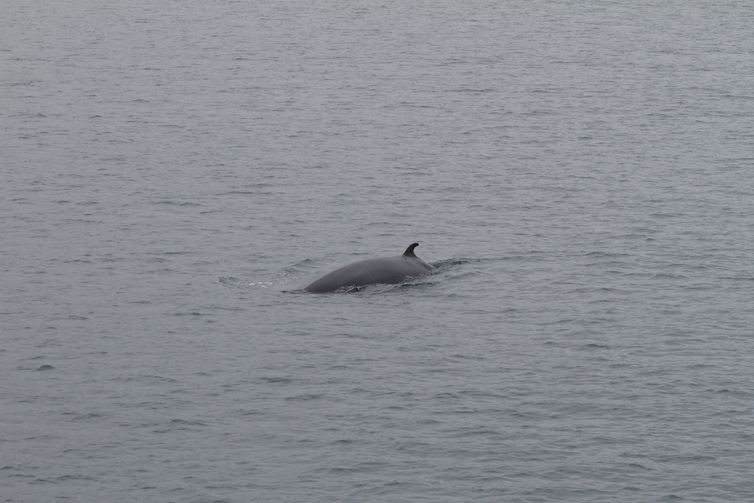 Tuesday, 23 August 2022