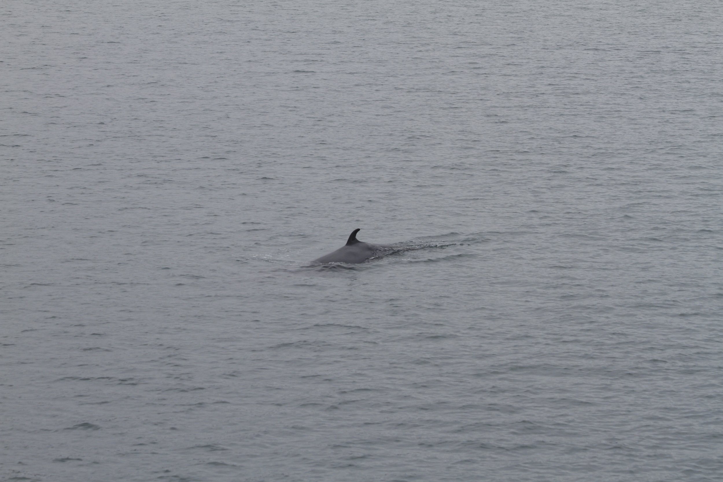 Tuesday, 23 August 2022