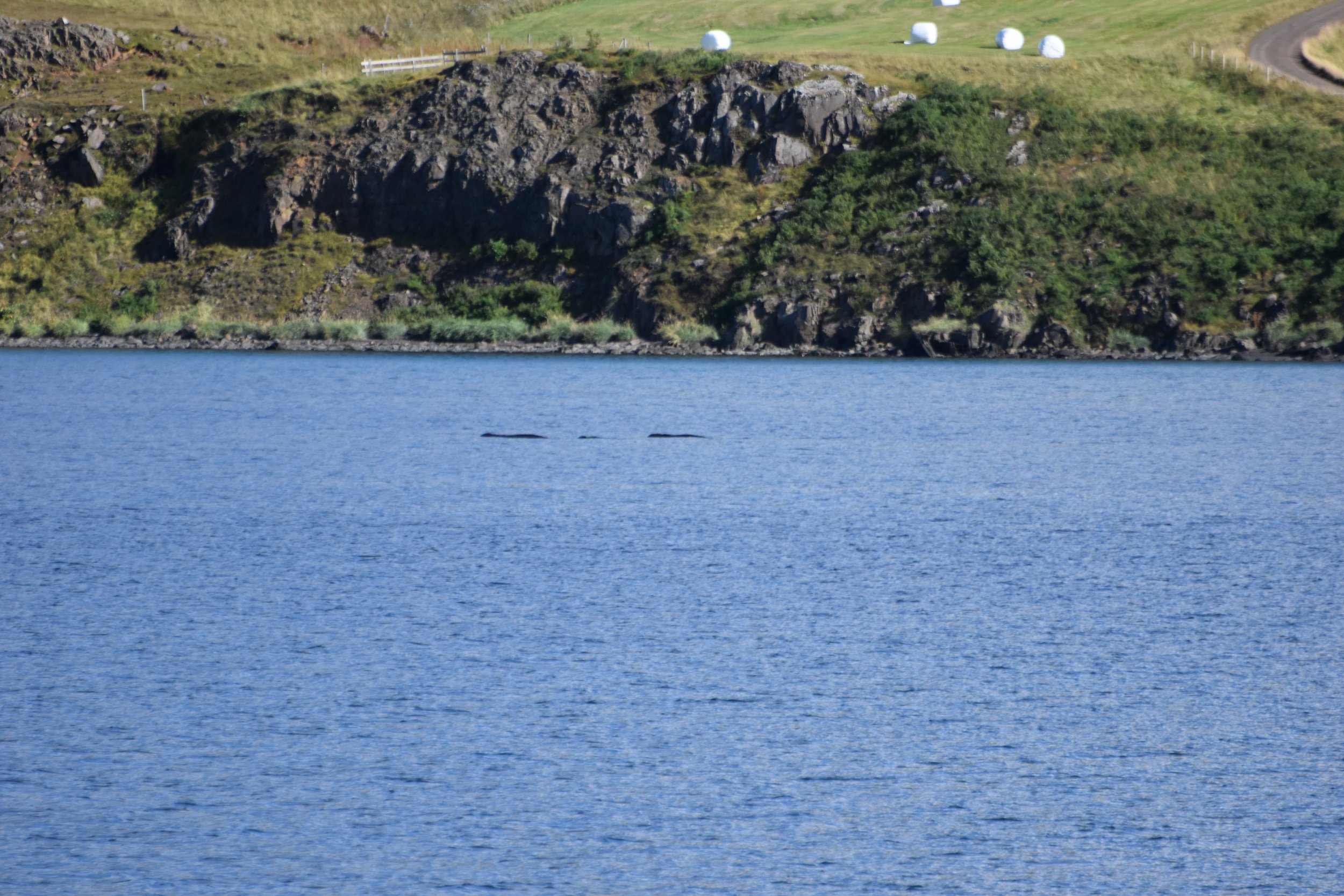 Thursday, 1 September 2022