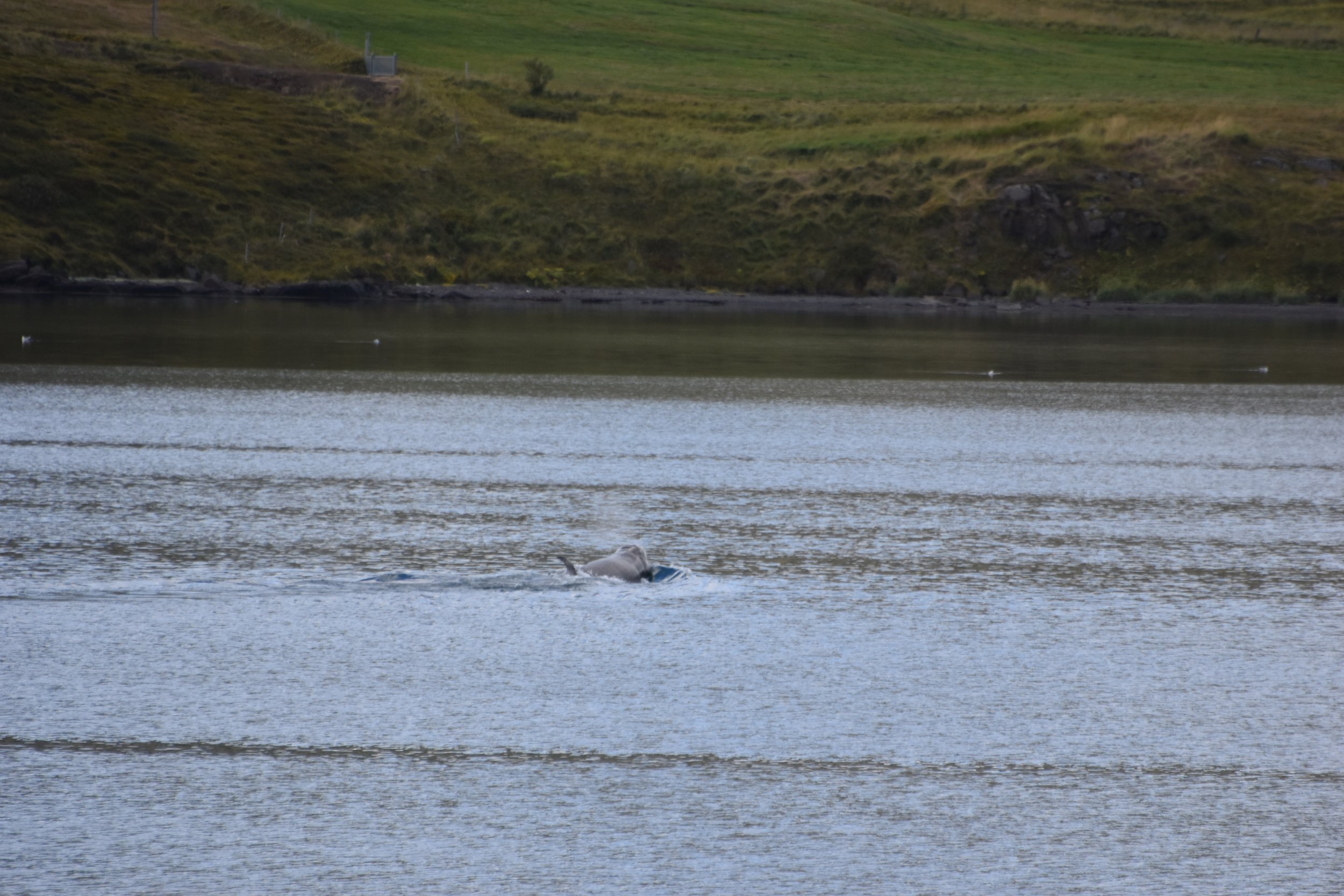 Thursday, 1 September 2022