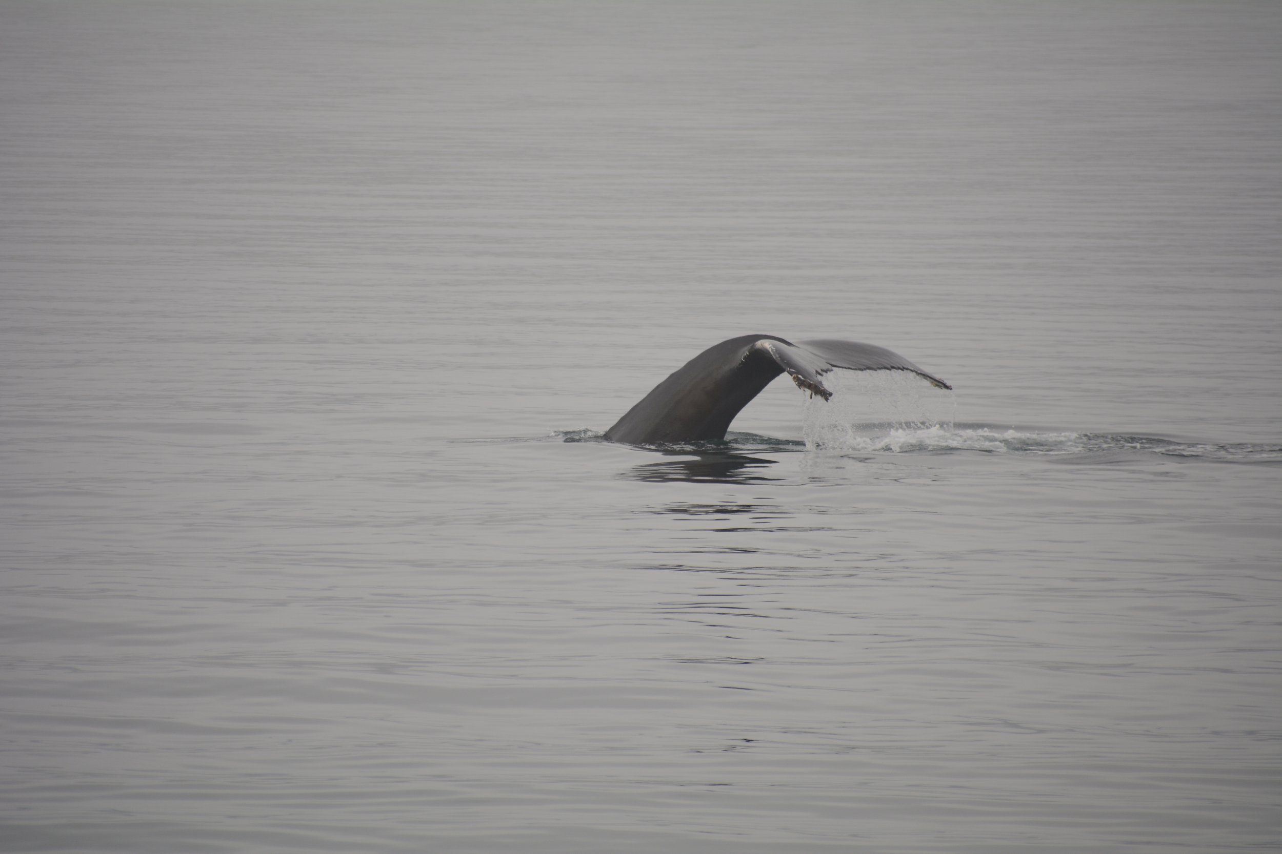 Tuesday, 6 September 2022