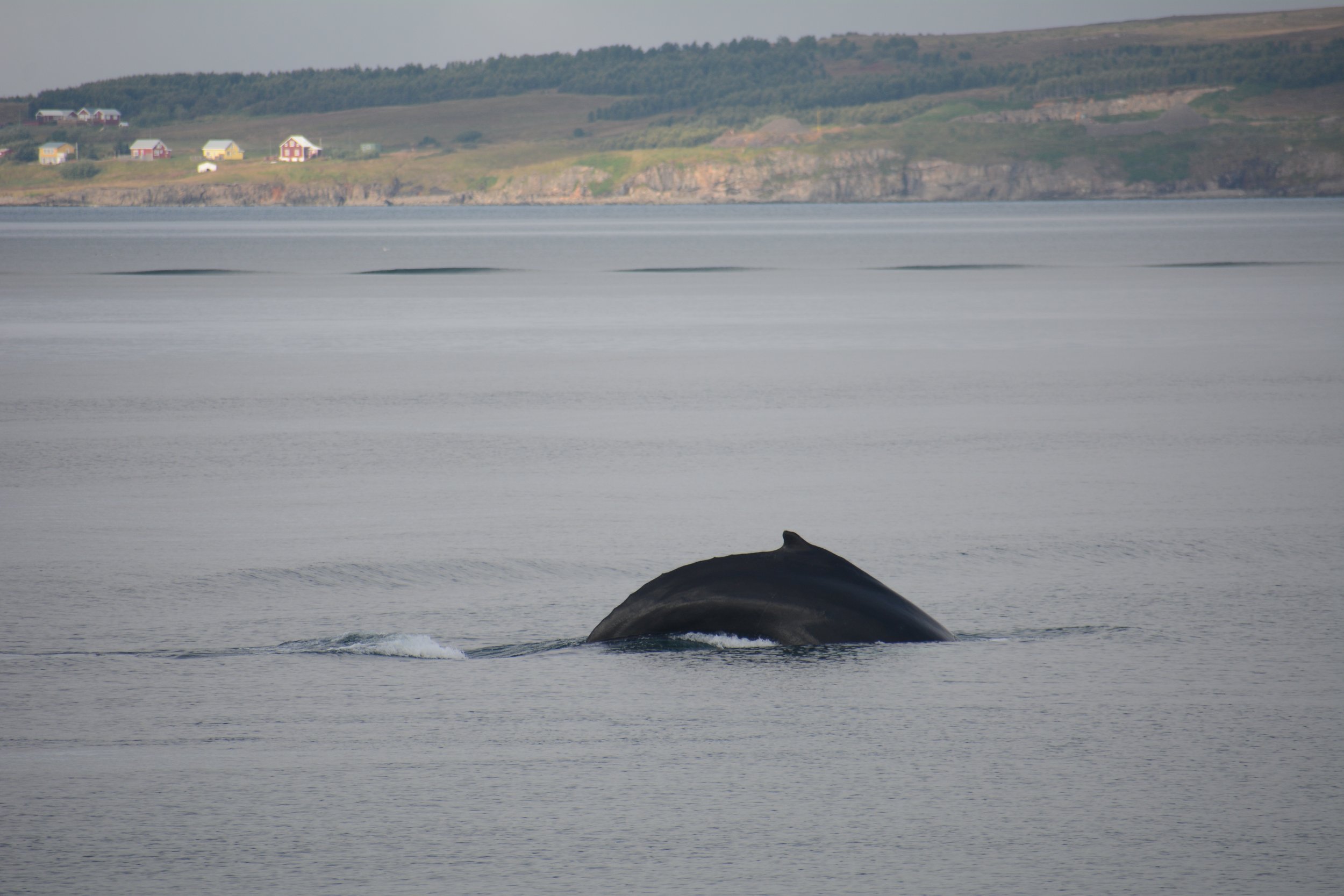Tuesday, 6 September 2022