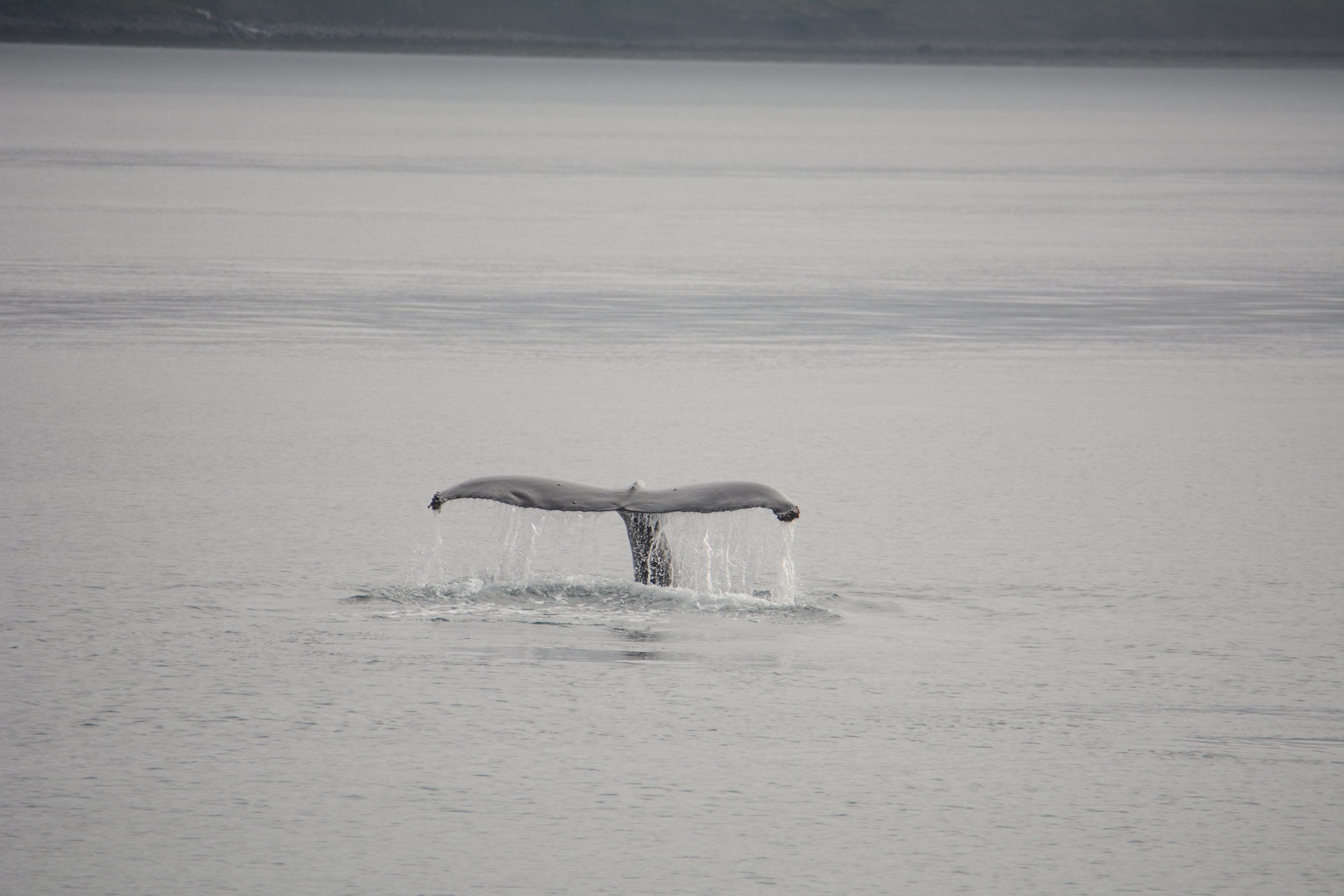 Tuesday, 6 September 2022