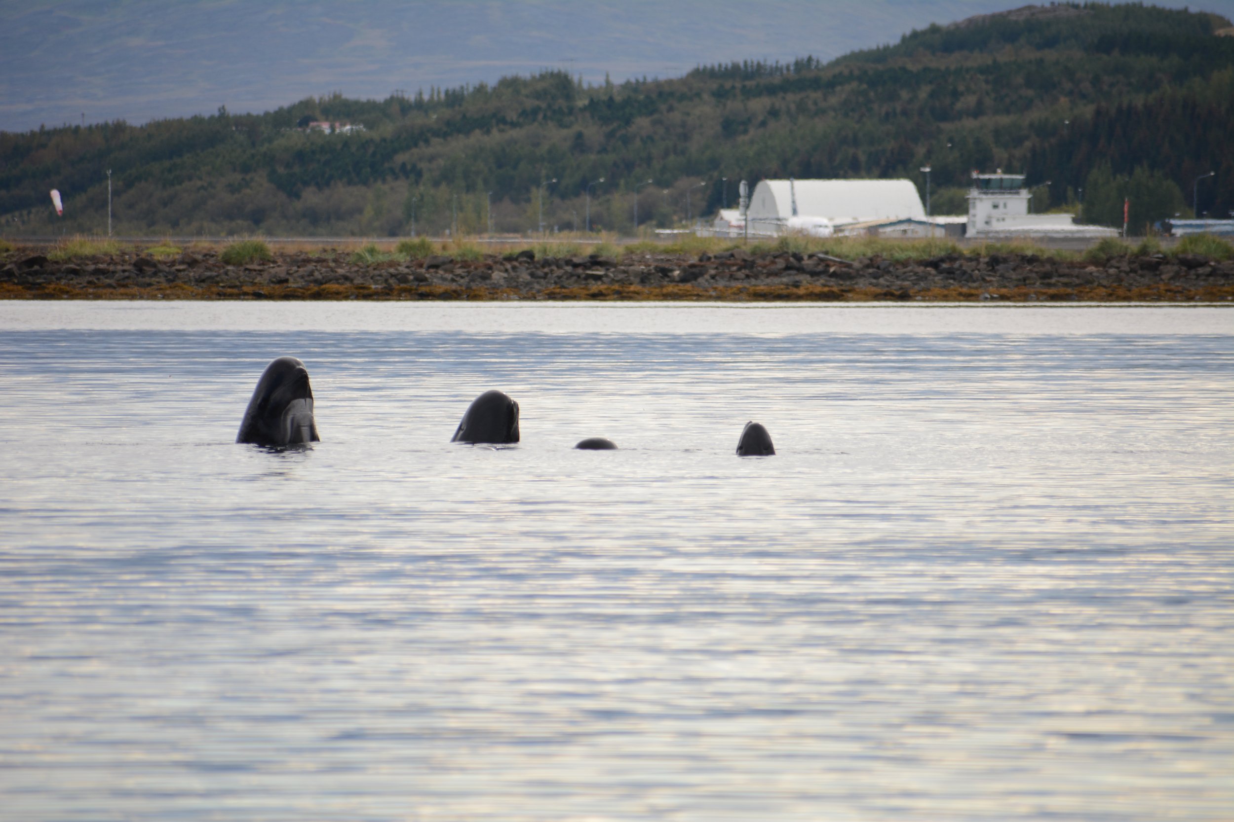 Friday, 9 September 2022