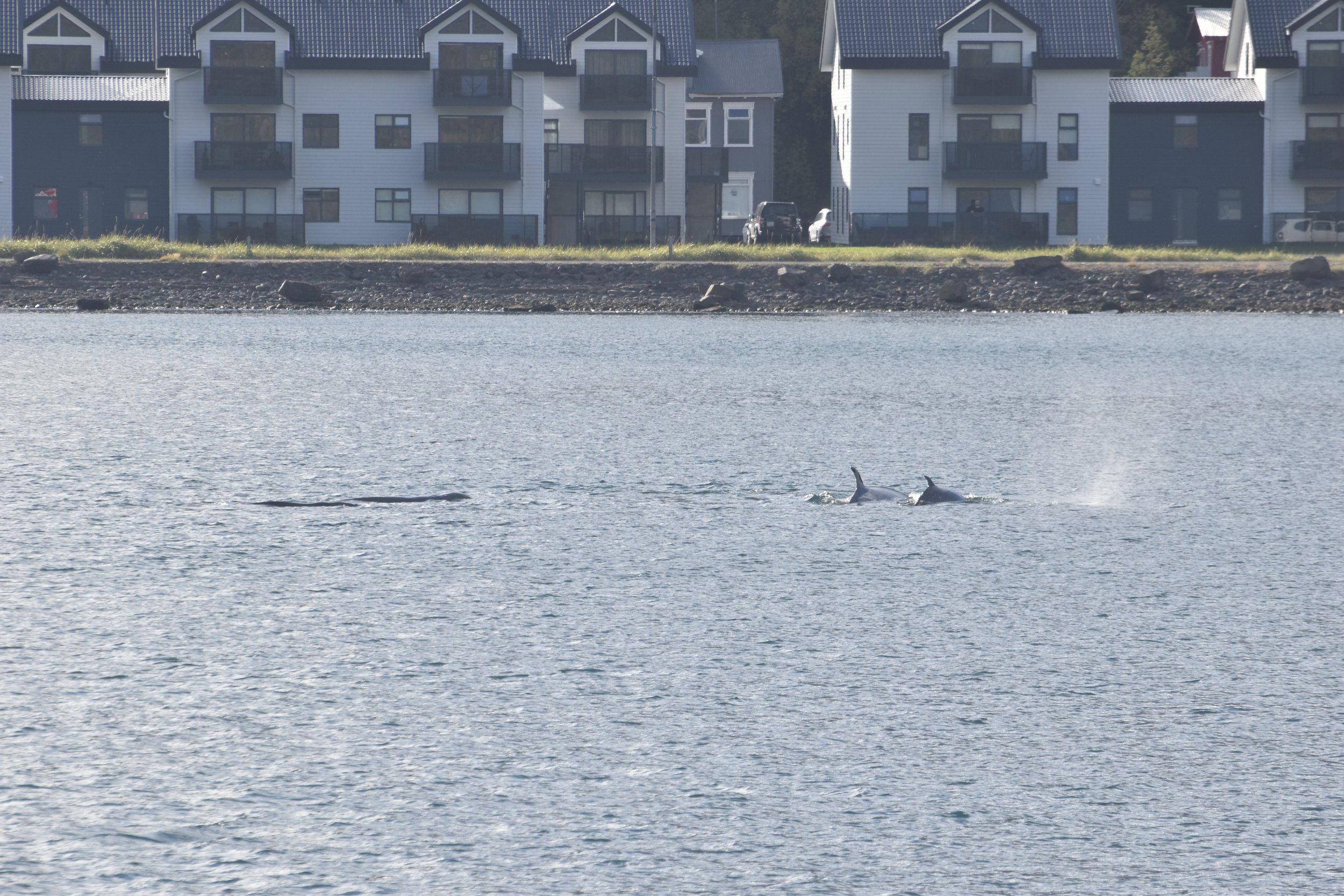 Tuesday, 20 September 2022