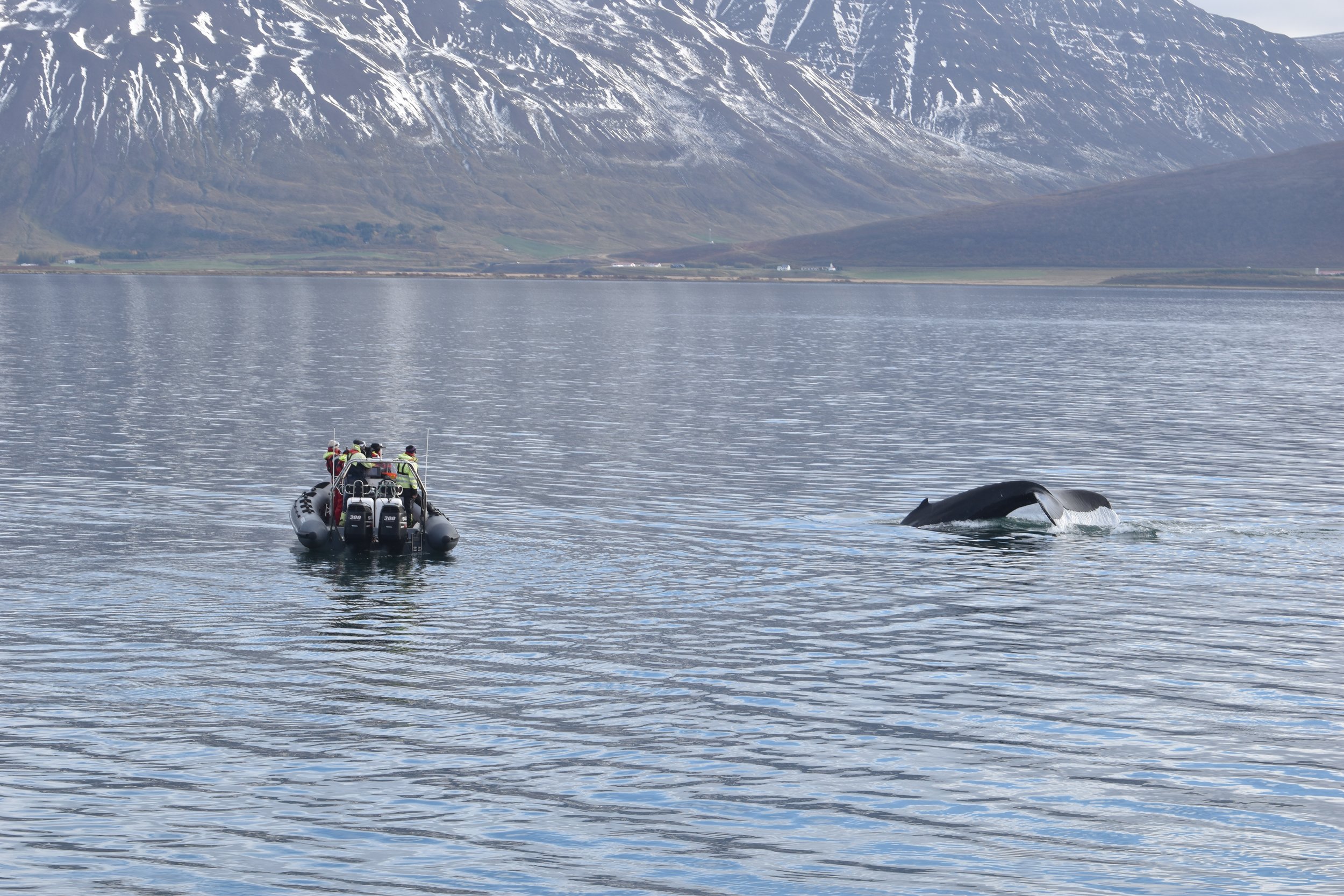 Wednesday, 28 September 2022