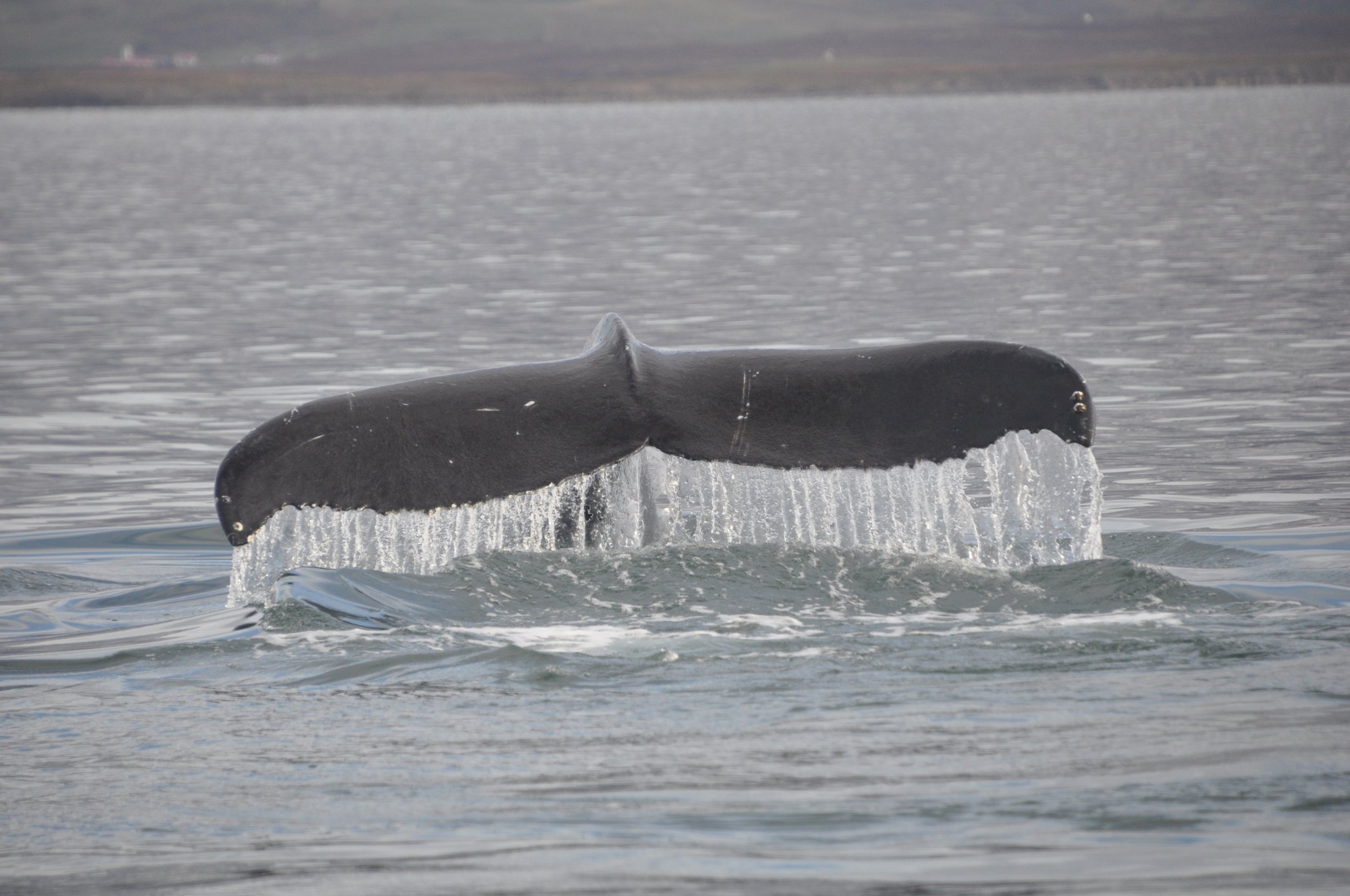 Wednesday, 28 September 2022