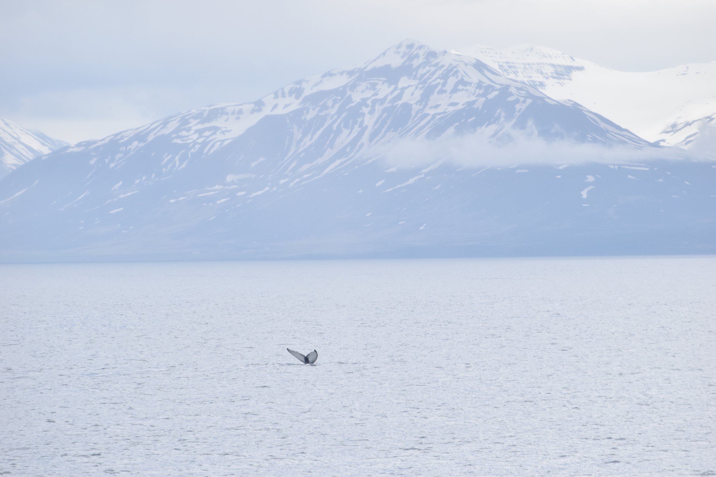 Thursday, 2 June 2022