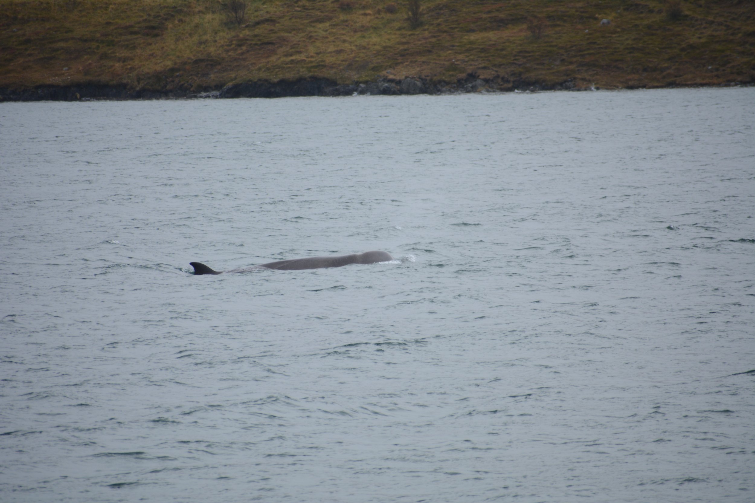Friday, 30 September 2022