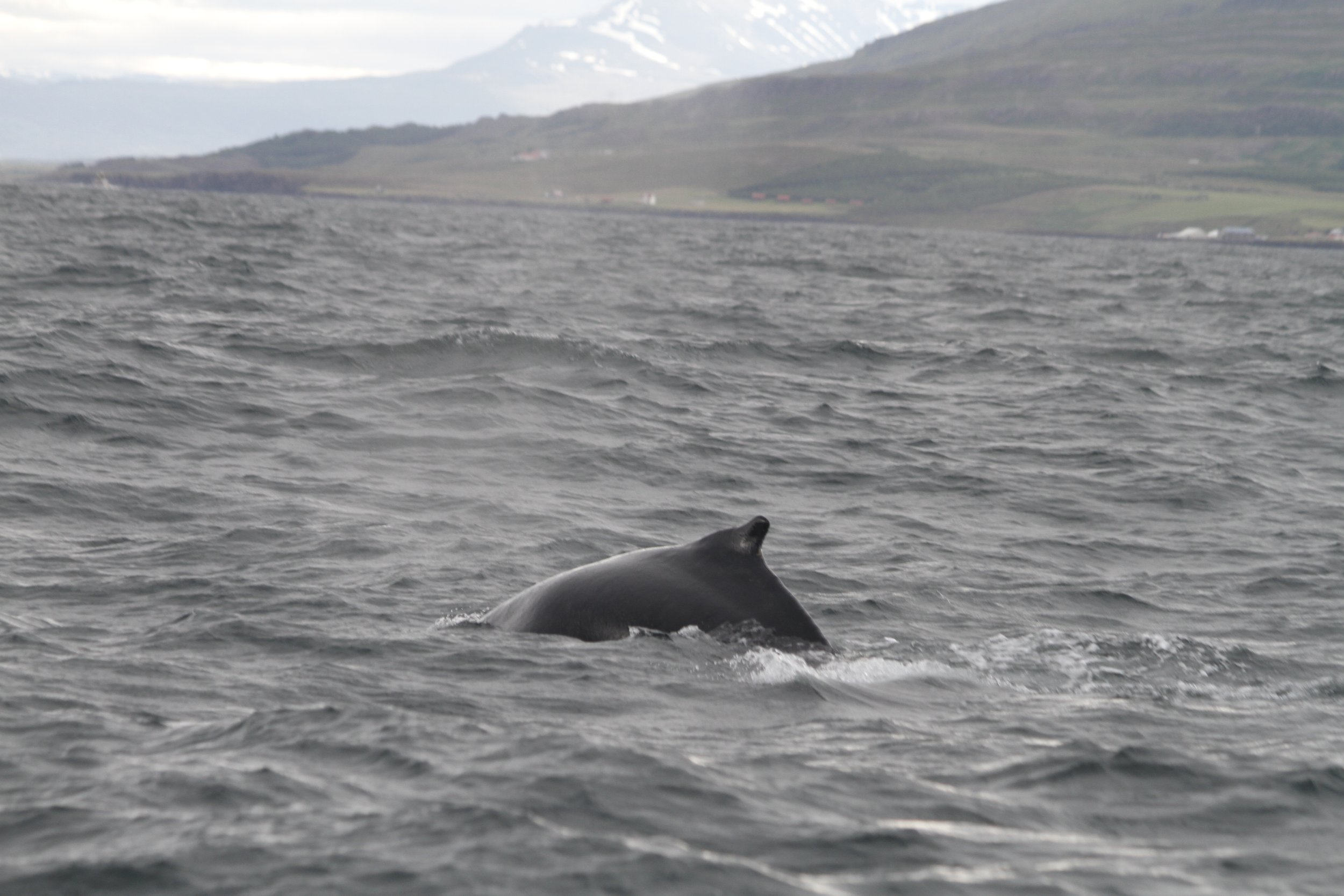 Wednesday, 10 August 2022