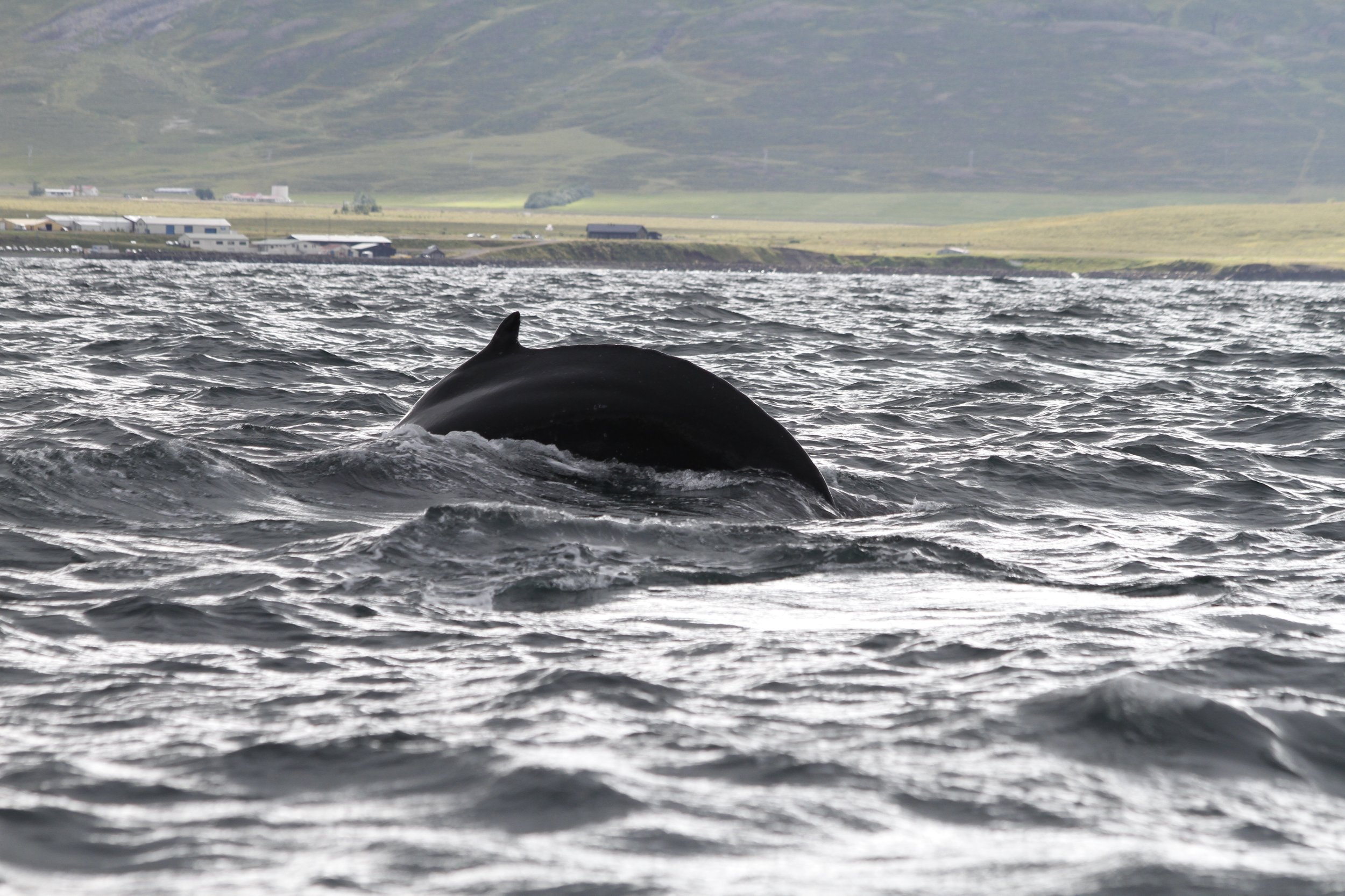 Wednesday, 10 August 2022