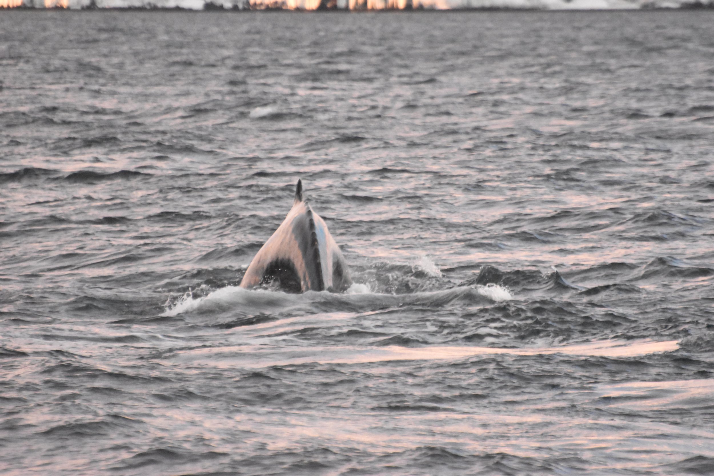 Tuesday, 3 January 2023