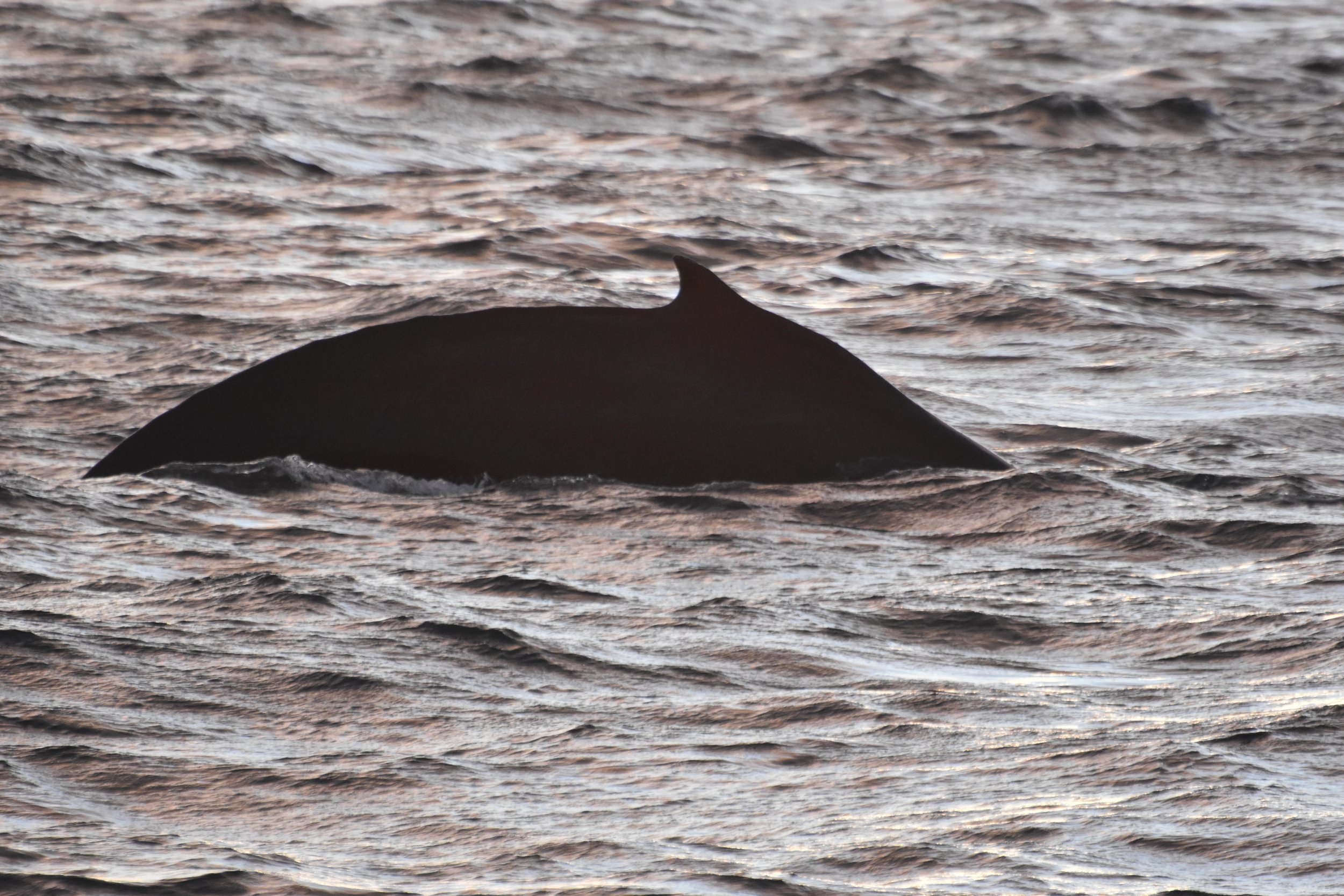Tuesday, 3 January 2023