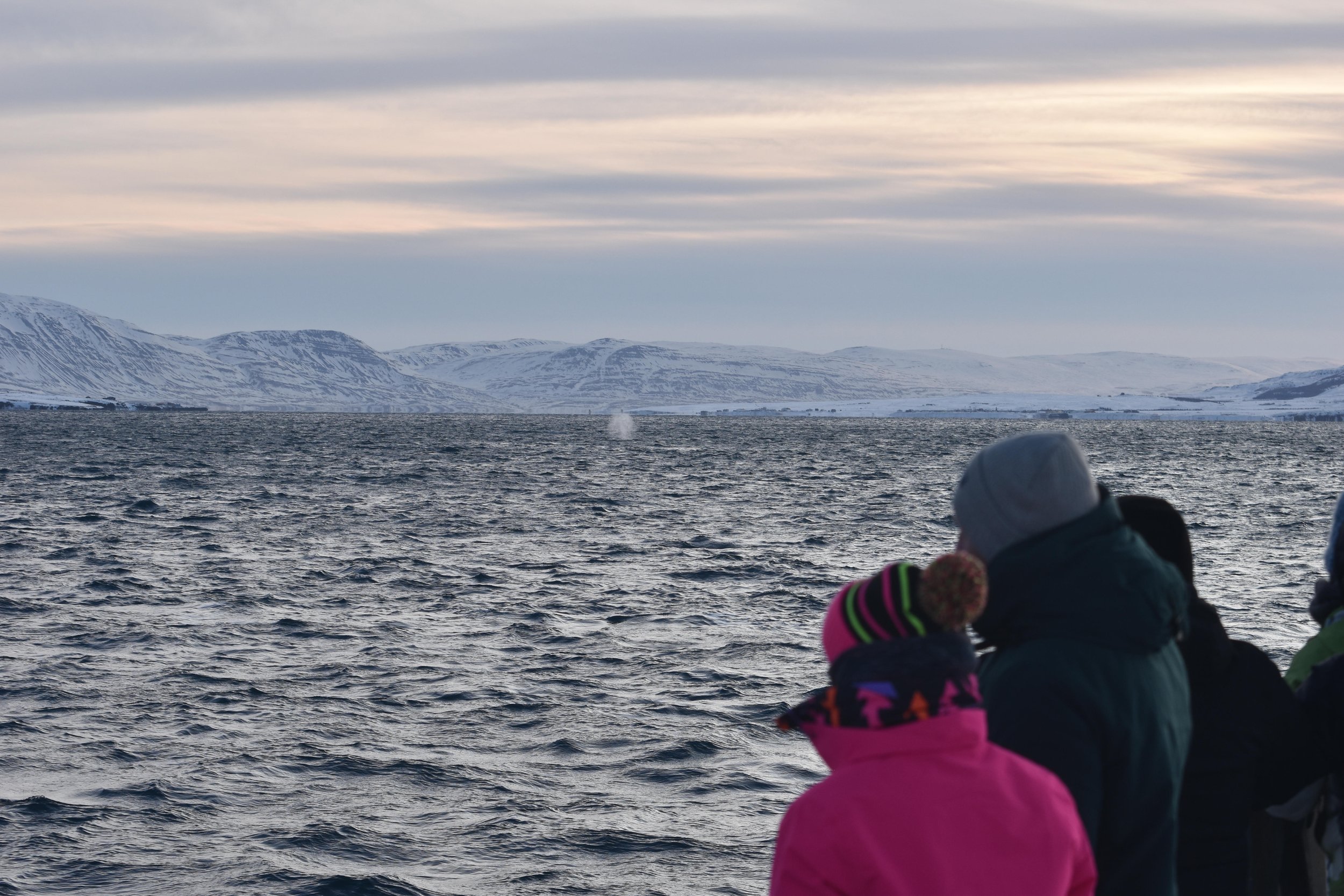 Monday, 23 January 2023