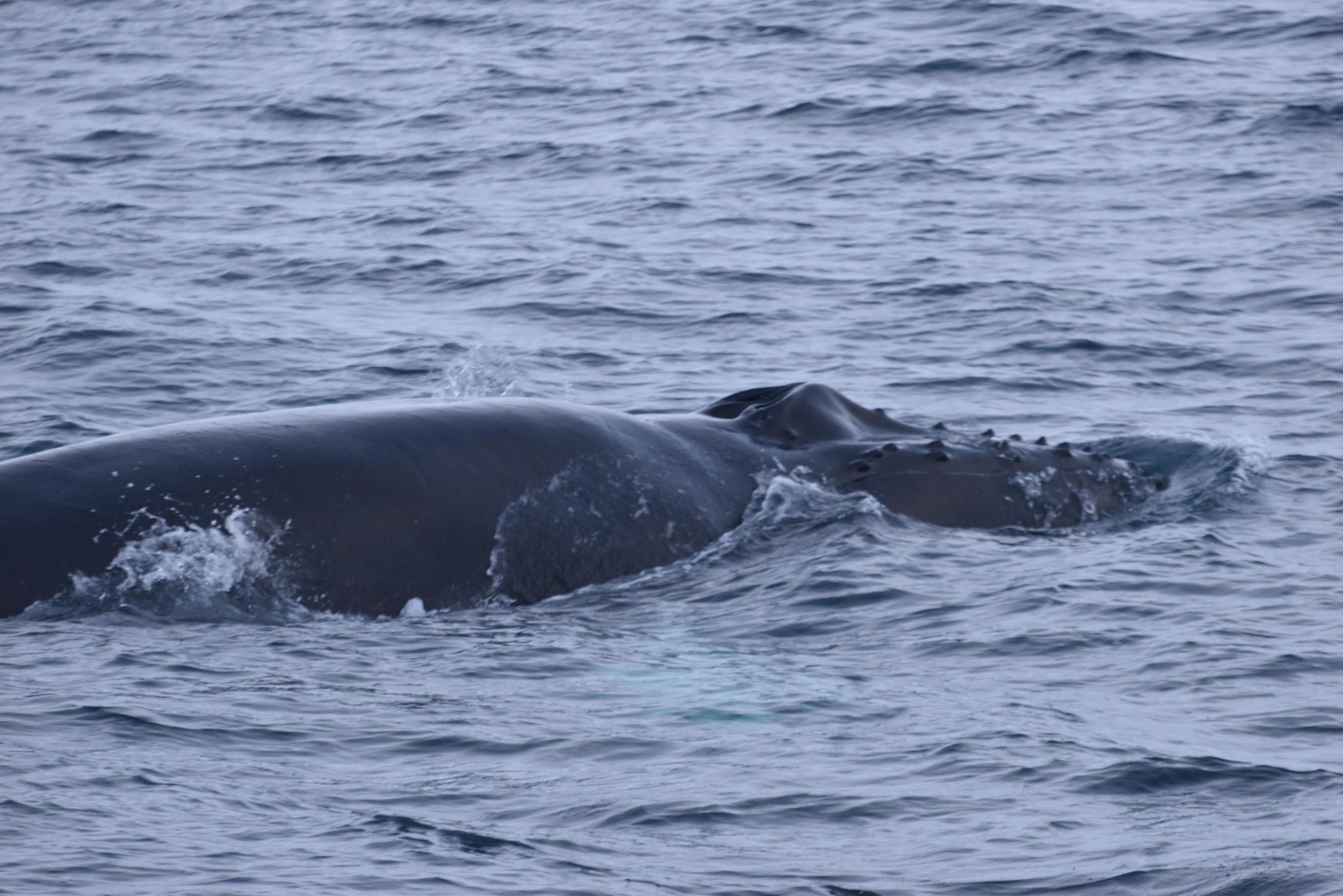 Wednesday, 1 February 2023