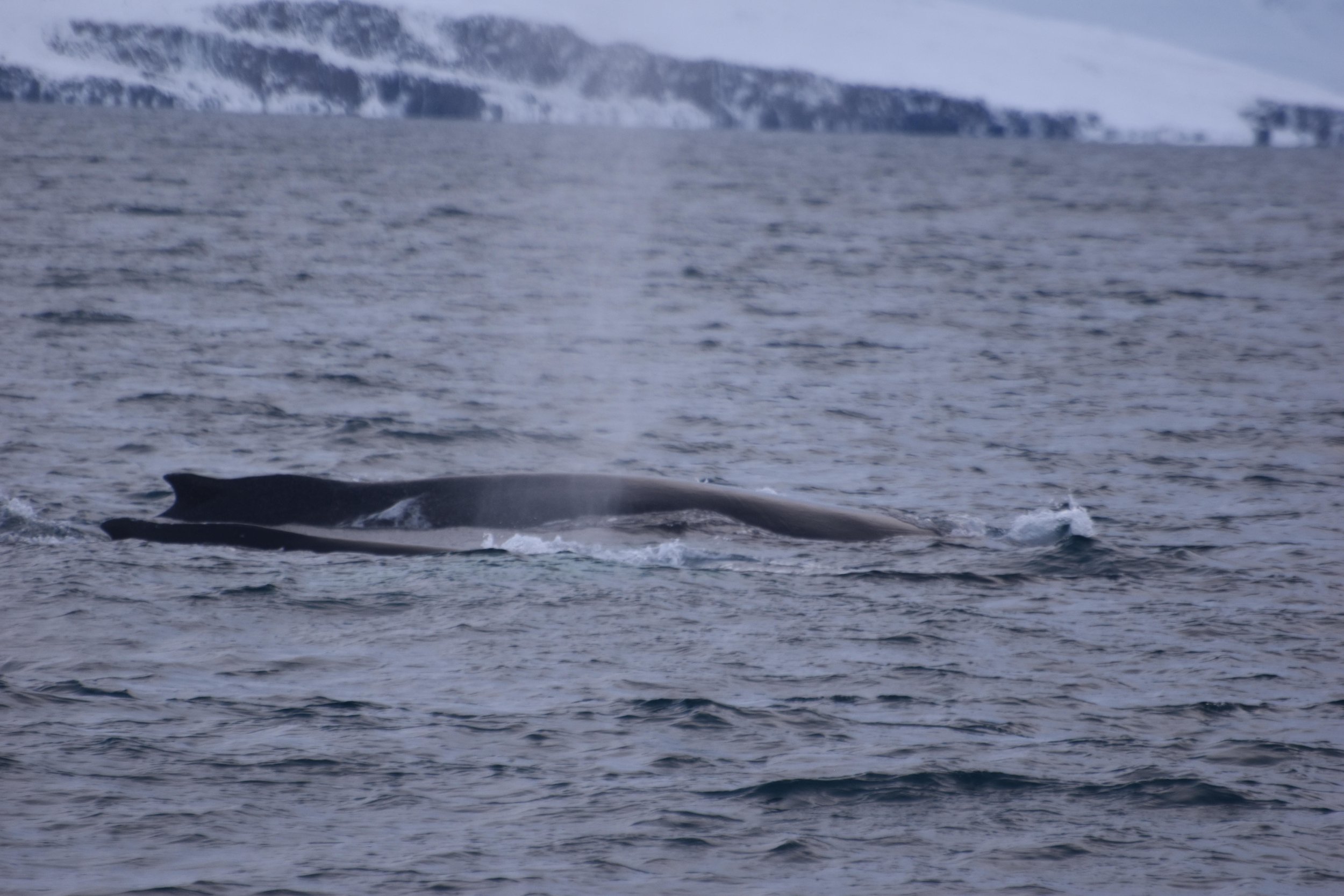 Wednesday, 1 February 2023