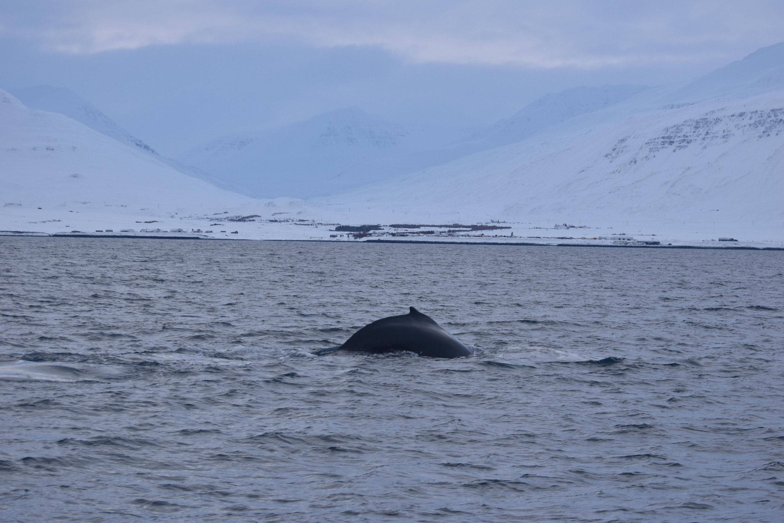 Wednesday, 1 February 2023
