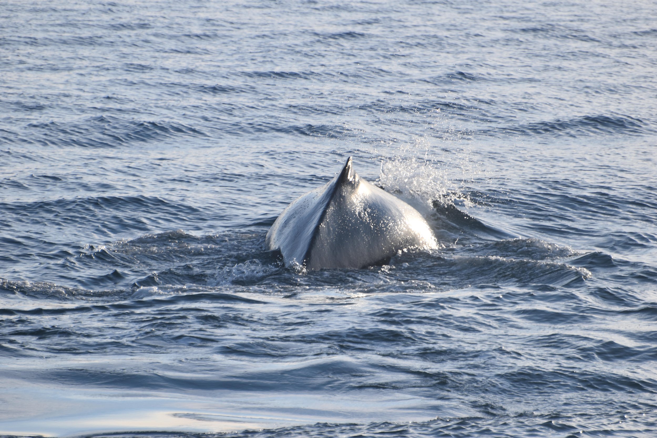 Wednesday, 8 February 2023