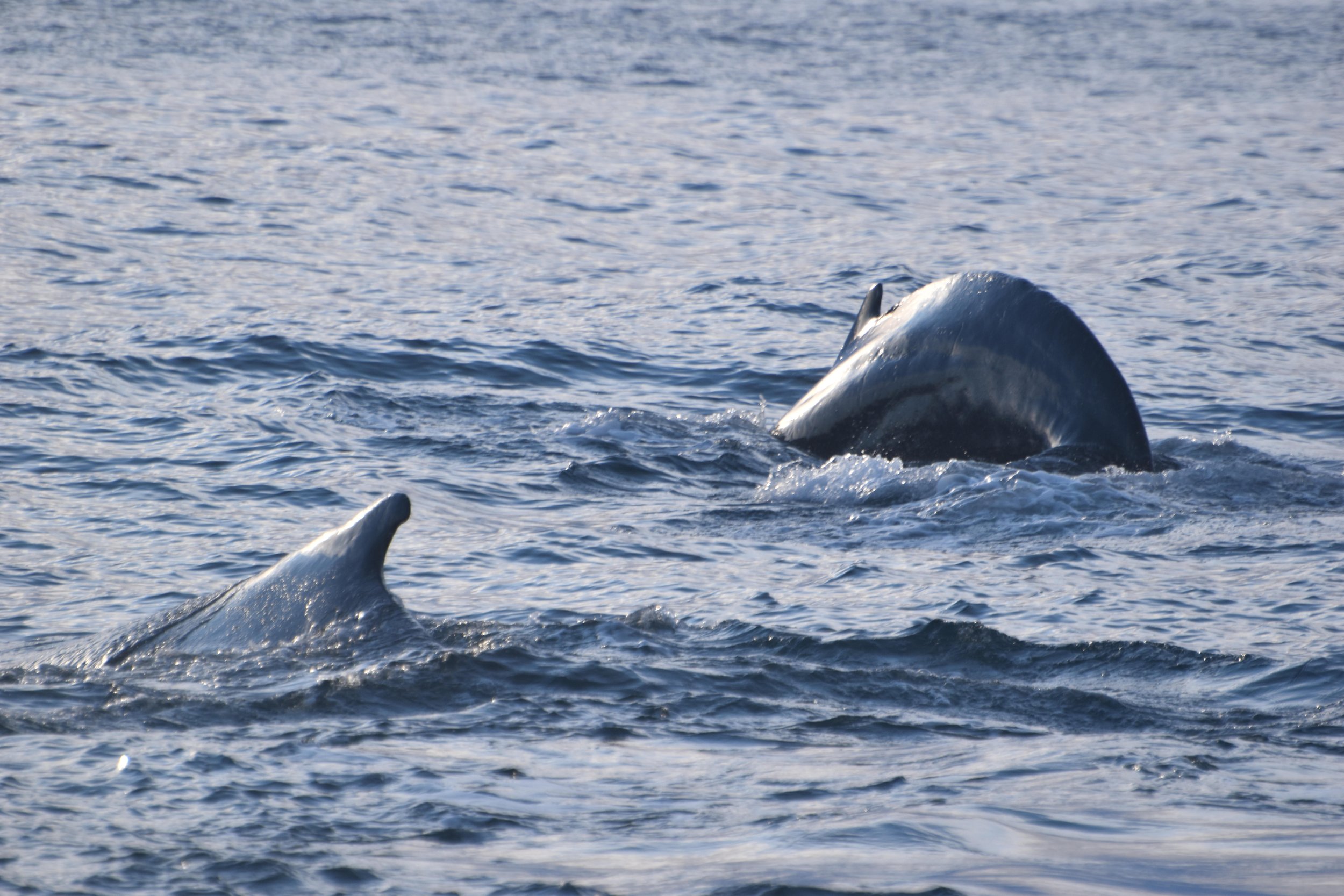 Wednesday, 8 February 2023