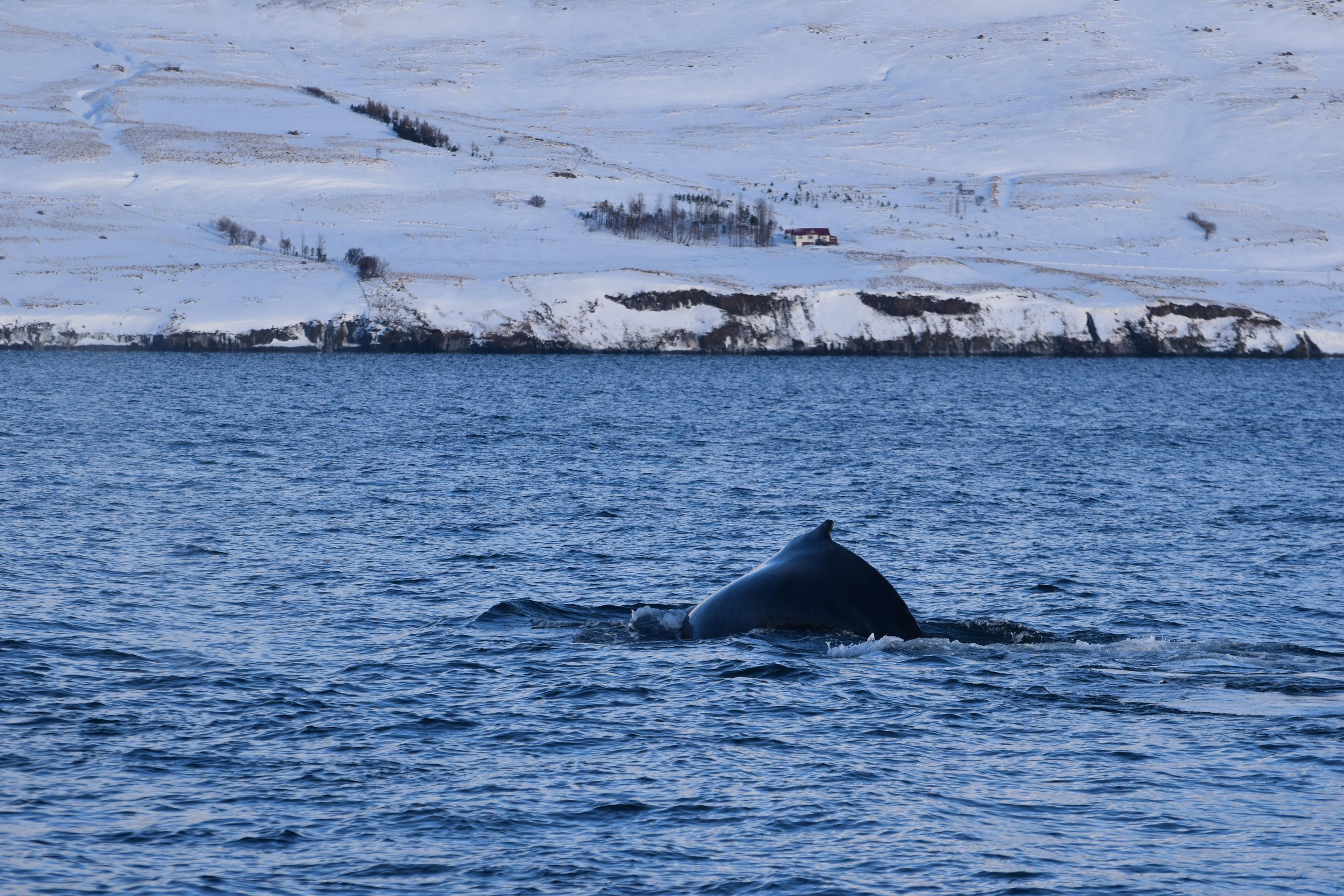 Wednesday, 8 February 2023