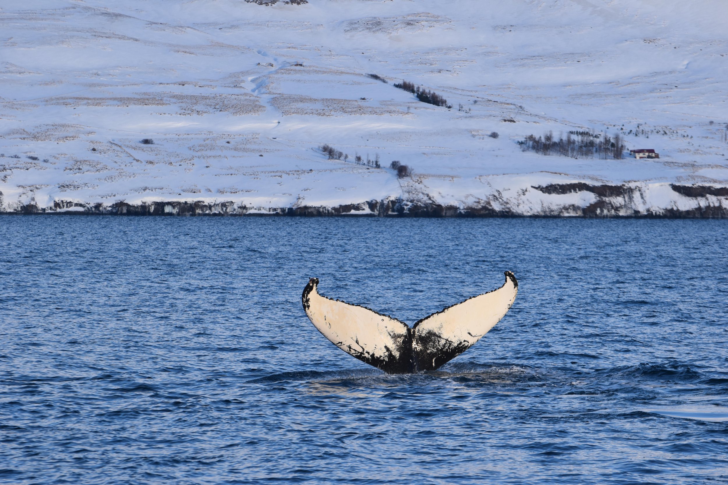 Wednesday, 8 February 2023