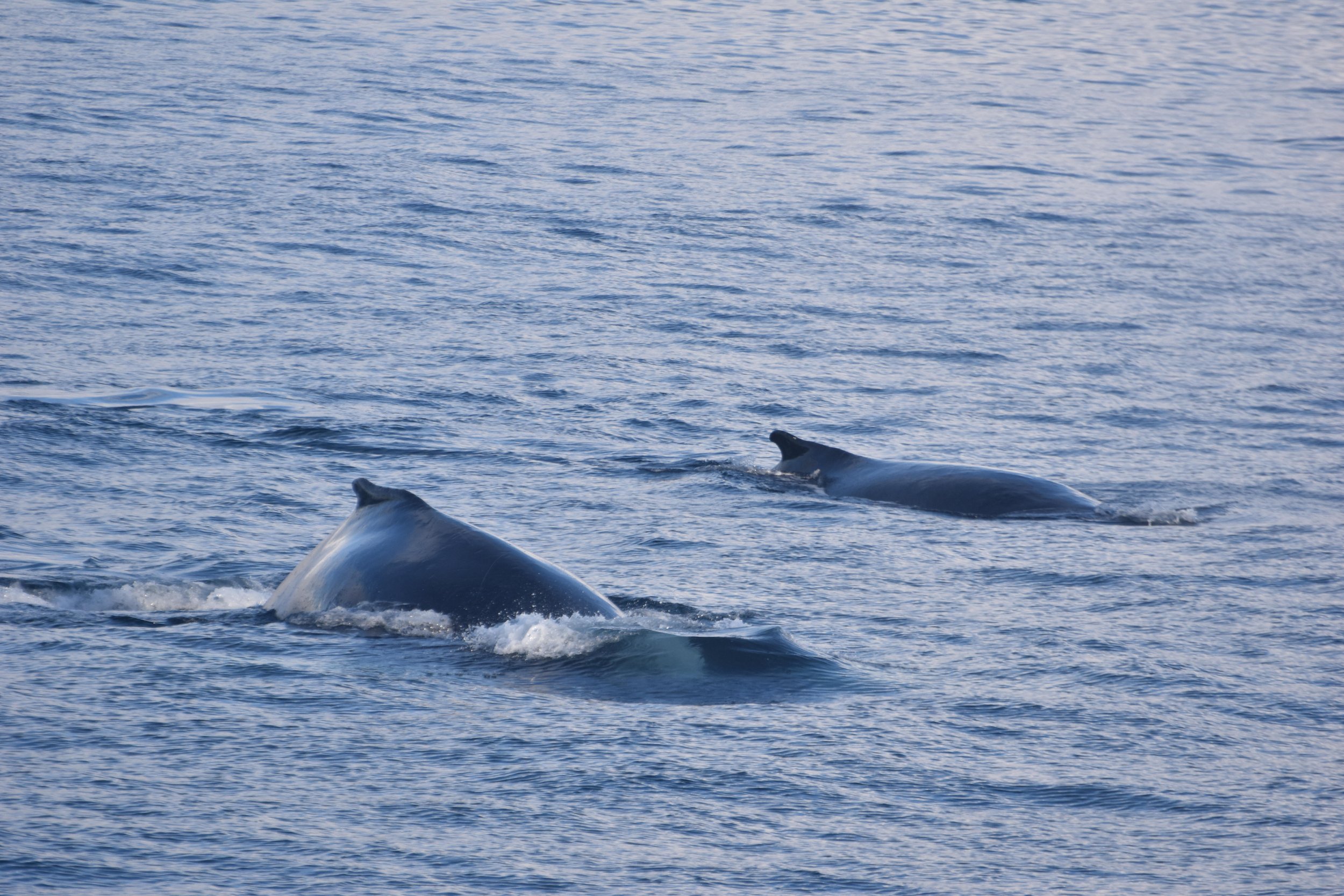 Wednesday, 8 February 2023