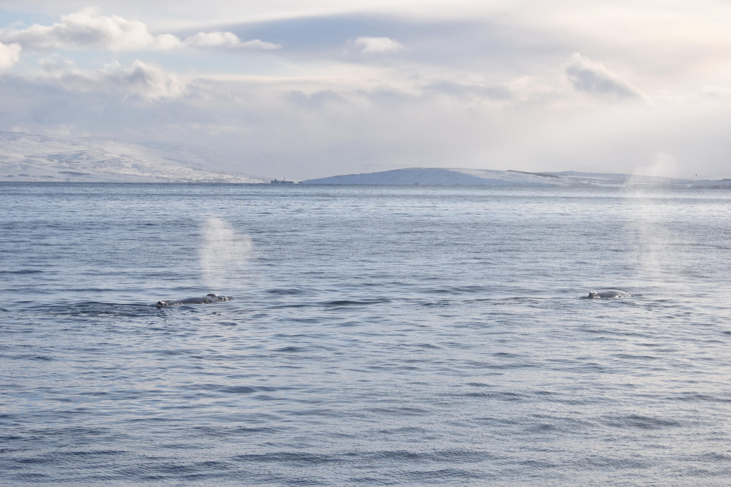 Wednesday, 8 February 2023
