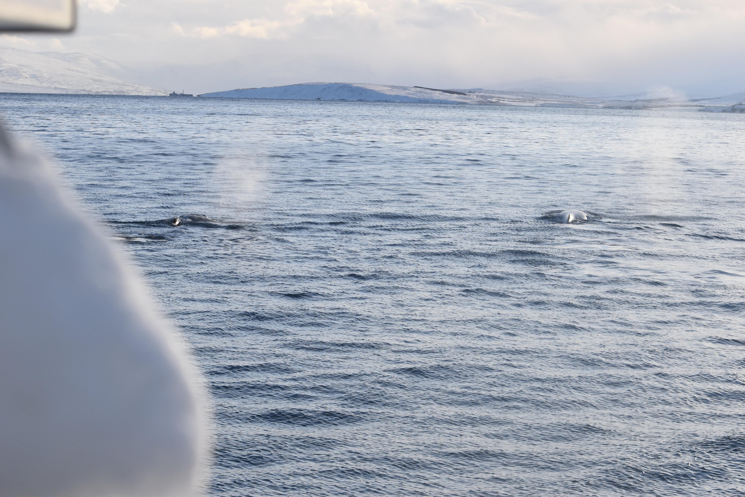 Wednesday, 8 February 2023