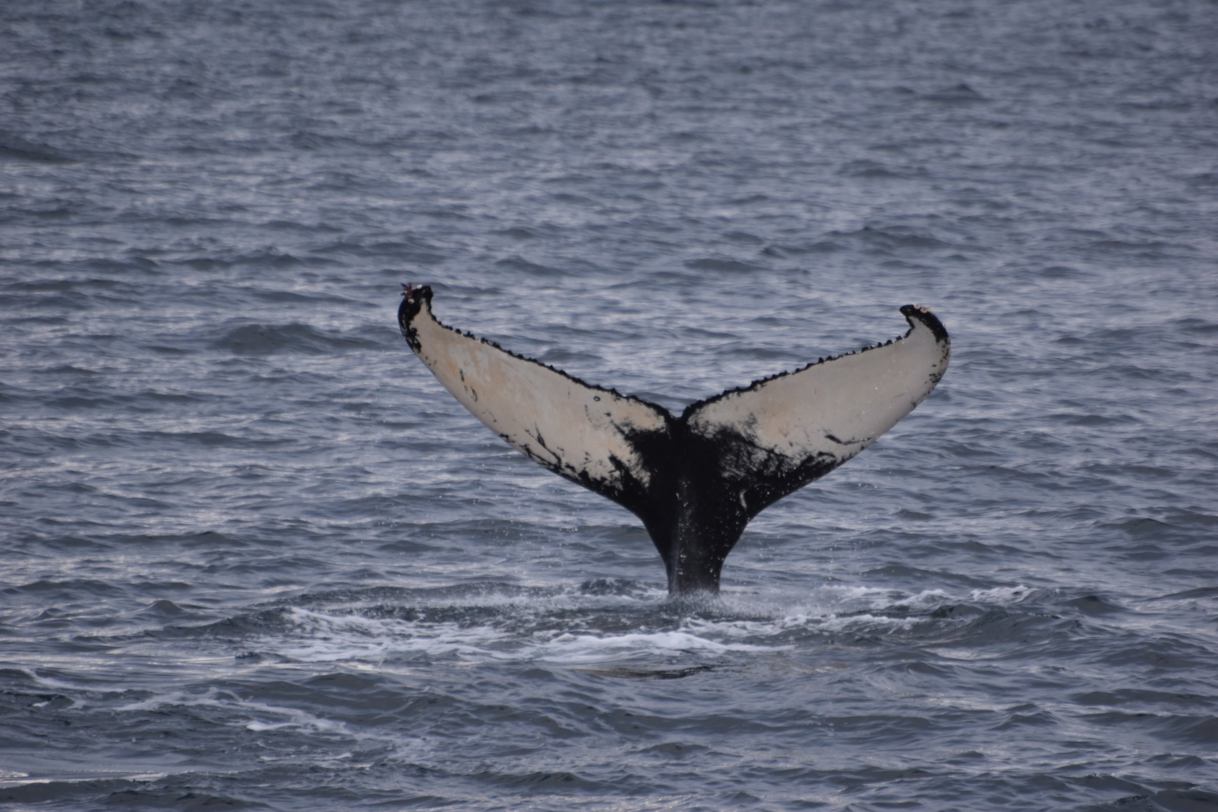 Sunday, 12 February 2023