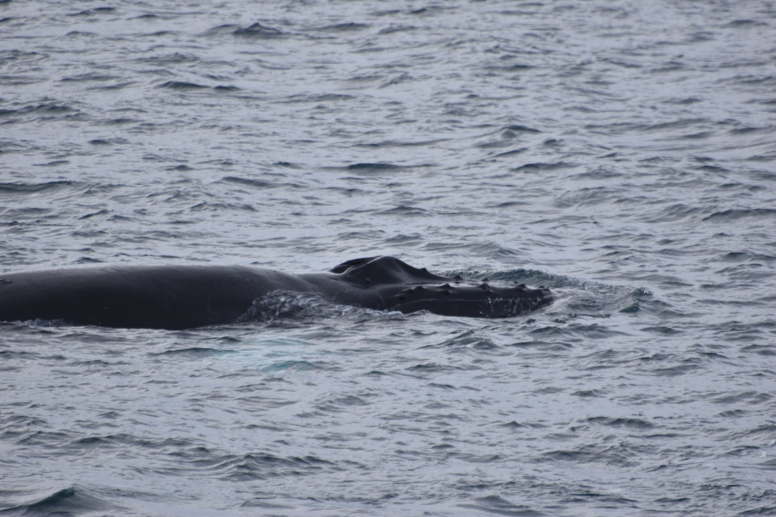 Tuesday, 14 February 2023