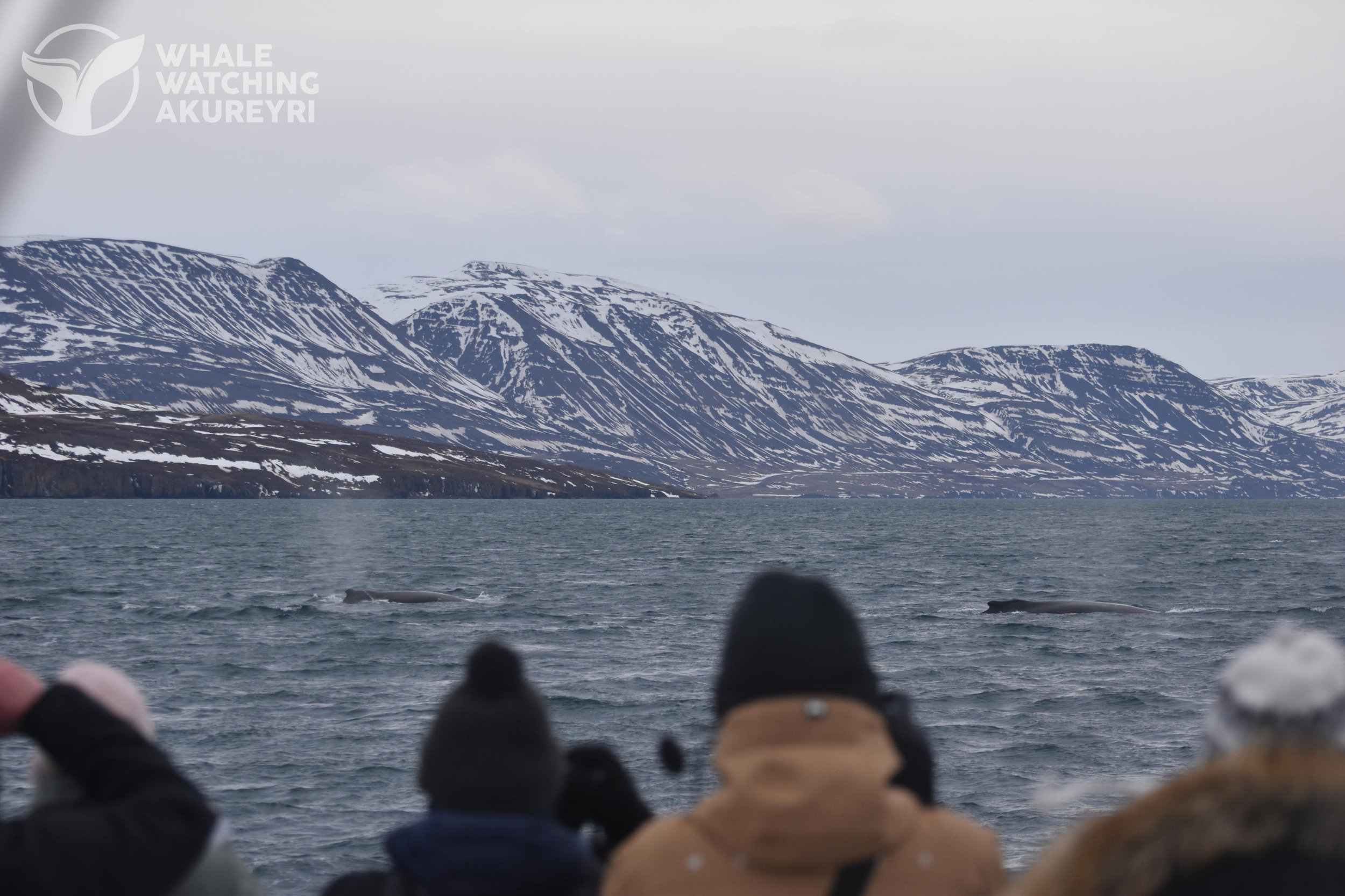 Wednesday, 15 February 2023