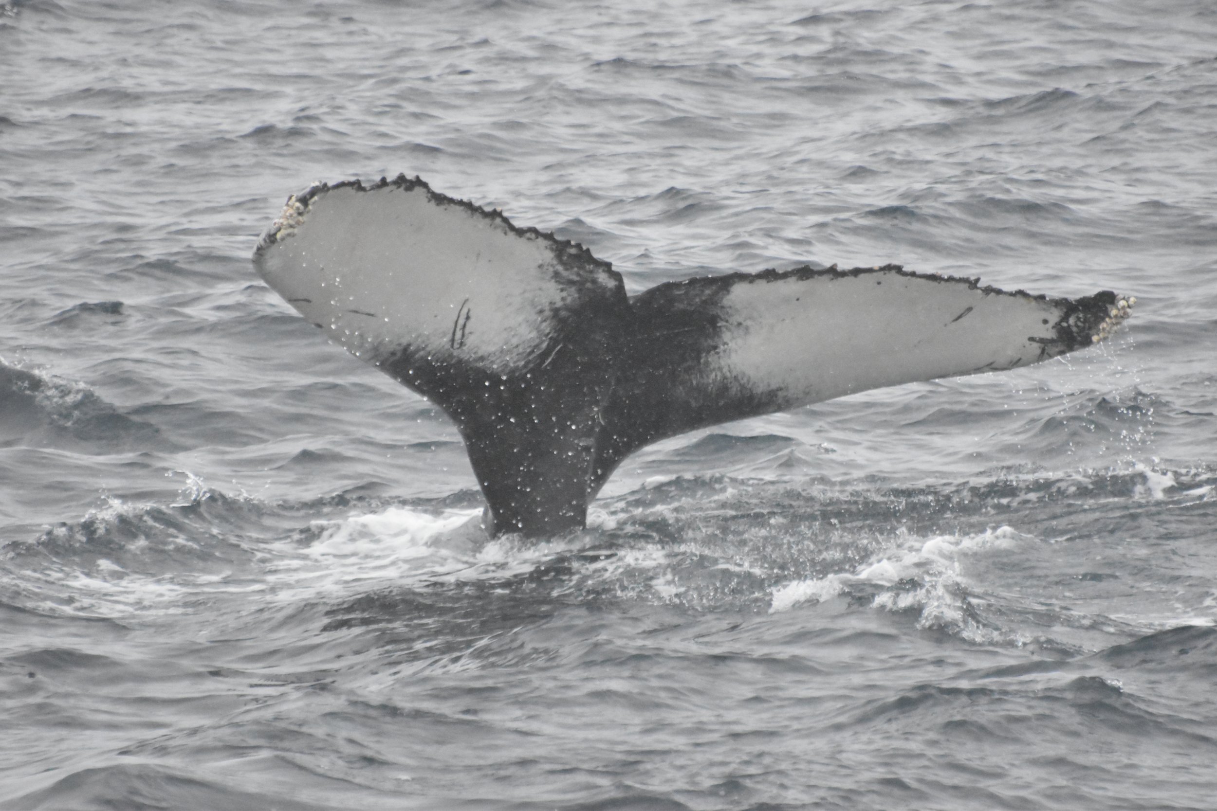 Sunday, 19 February 2023