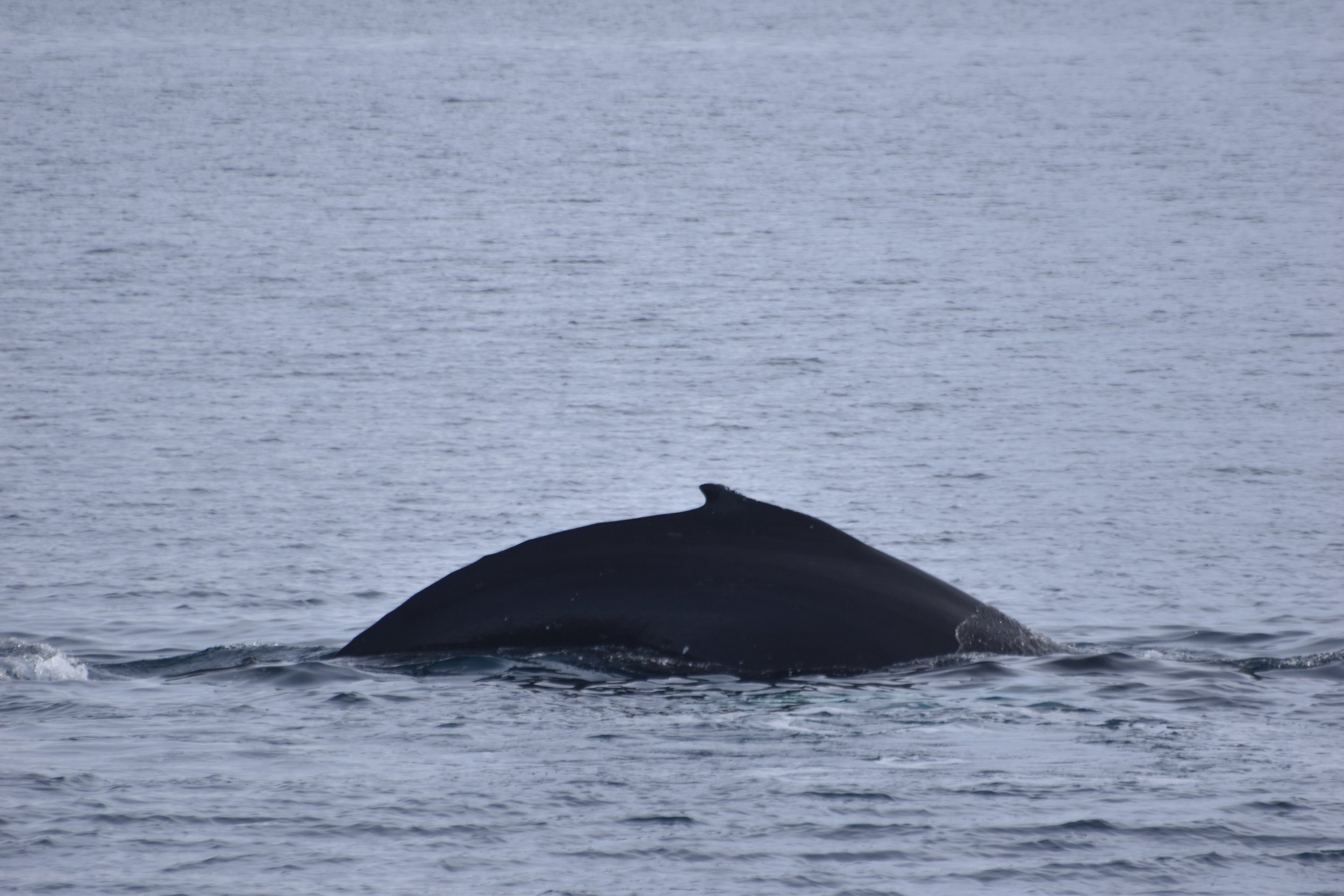 Tuesday, 21 February 2023