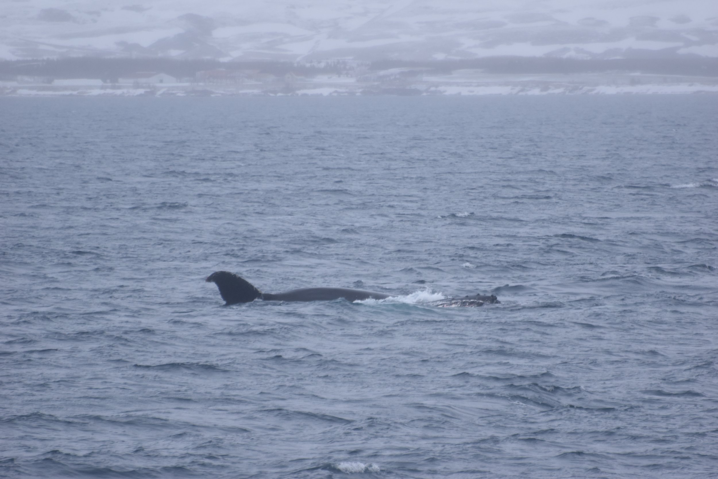 Thursday, 23 February 2023