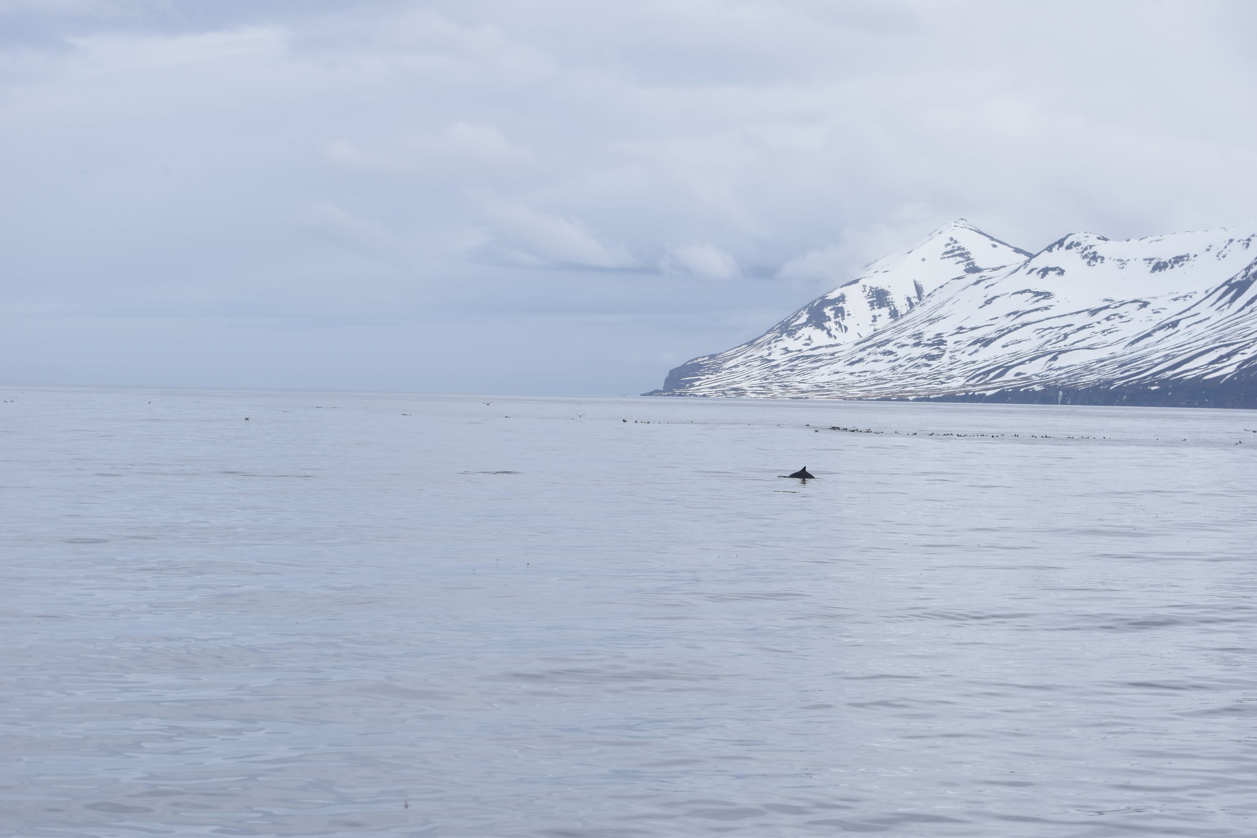 Monday, 10 April 2023