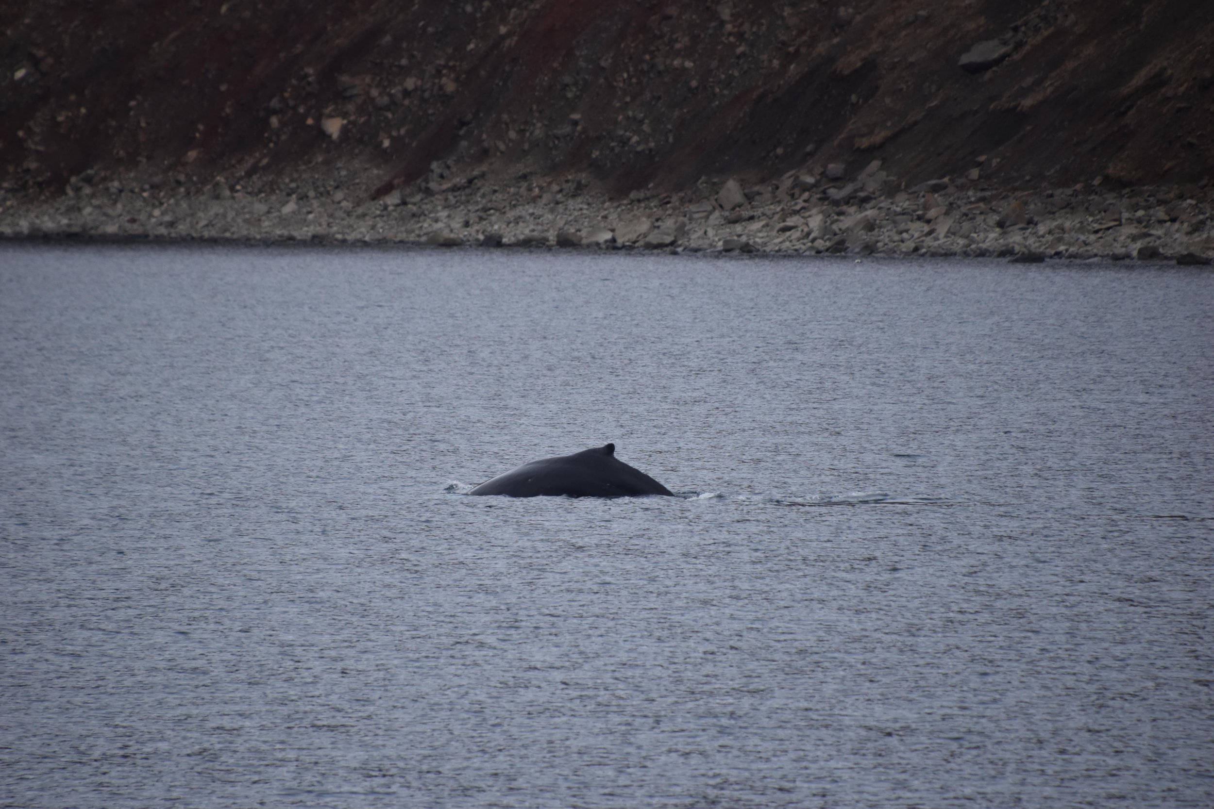 Tuesday, 11 April 2023