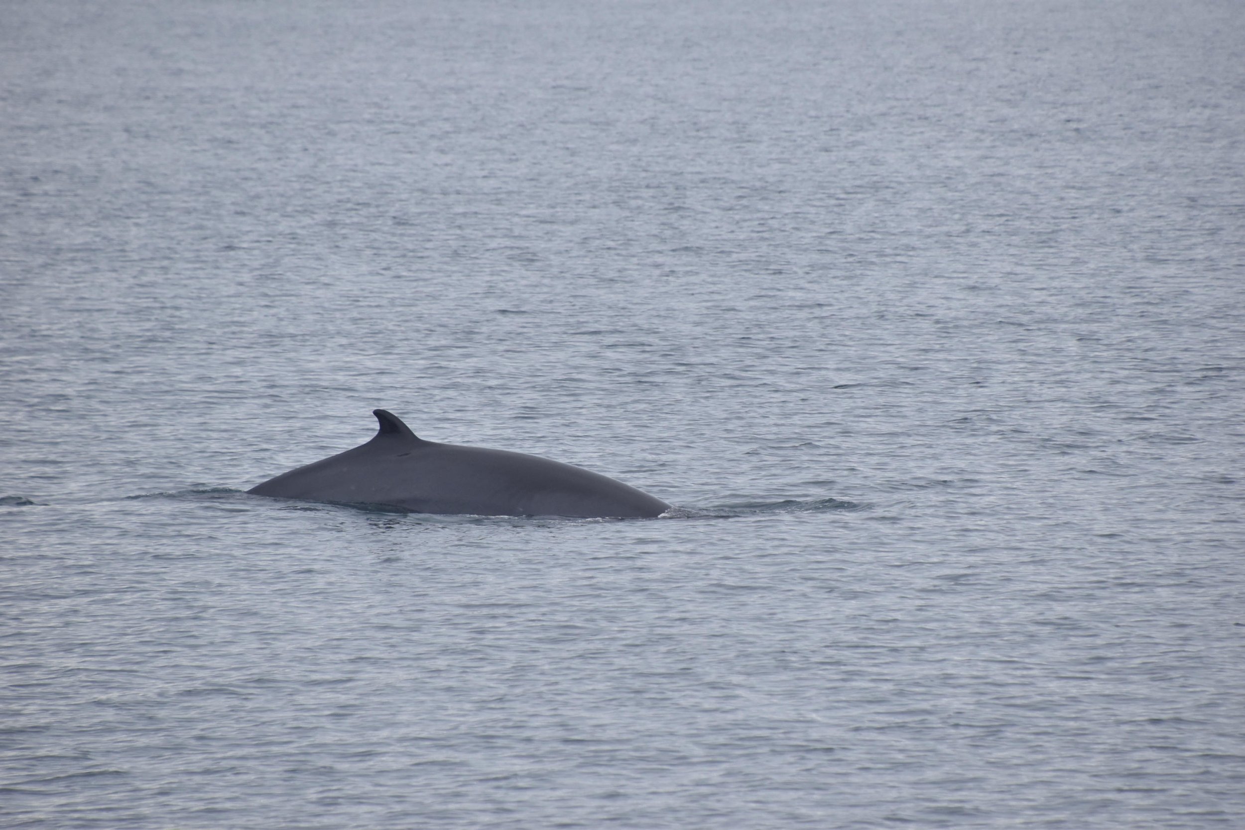 Tuesday, 18 April 2023