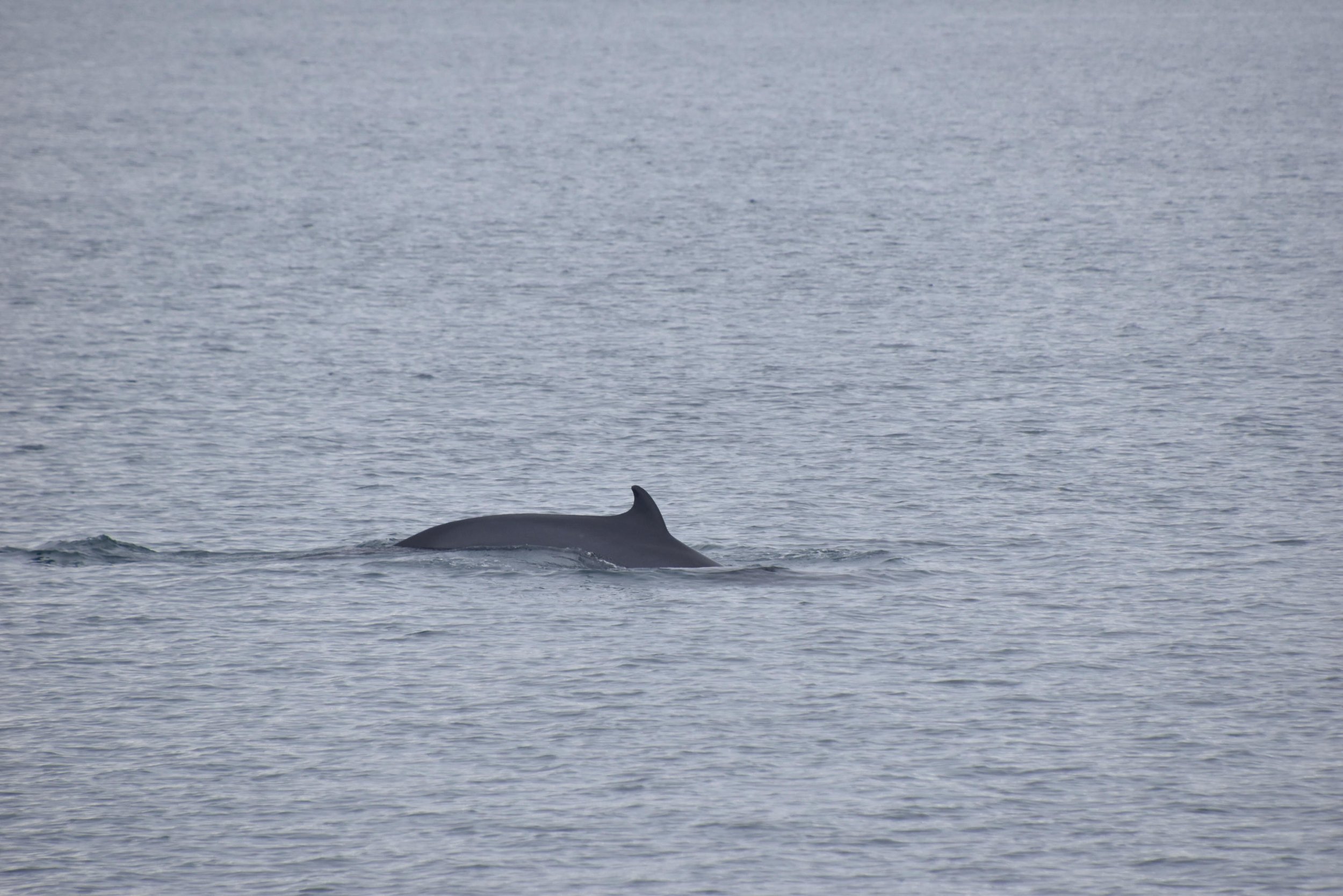 Tuesday, 18 April 2023