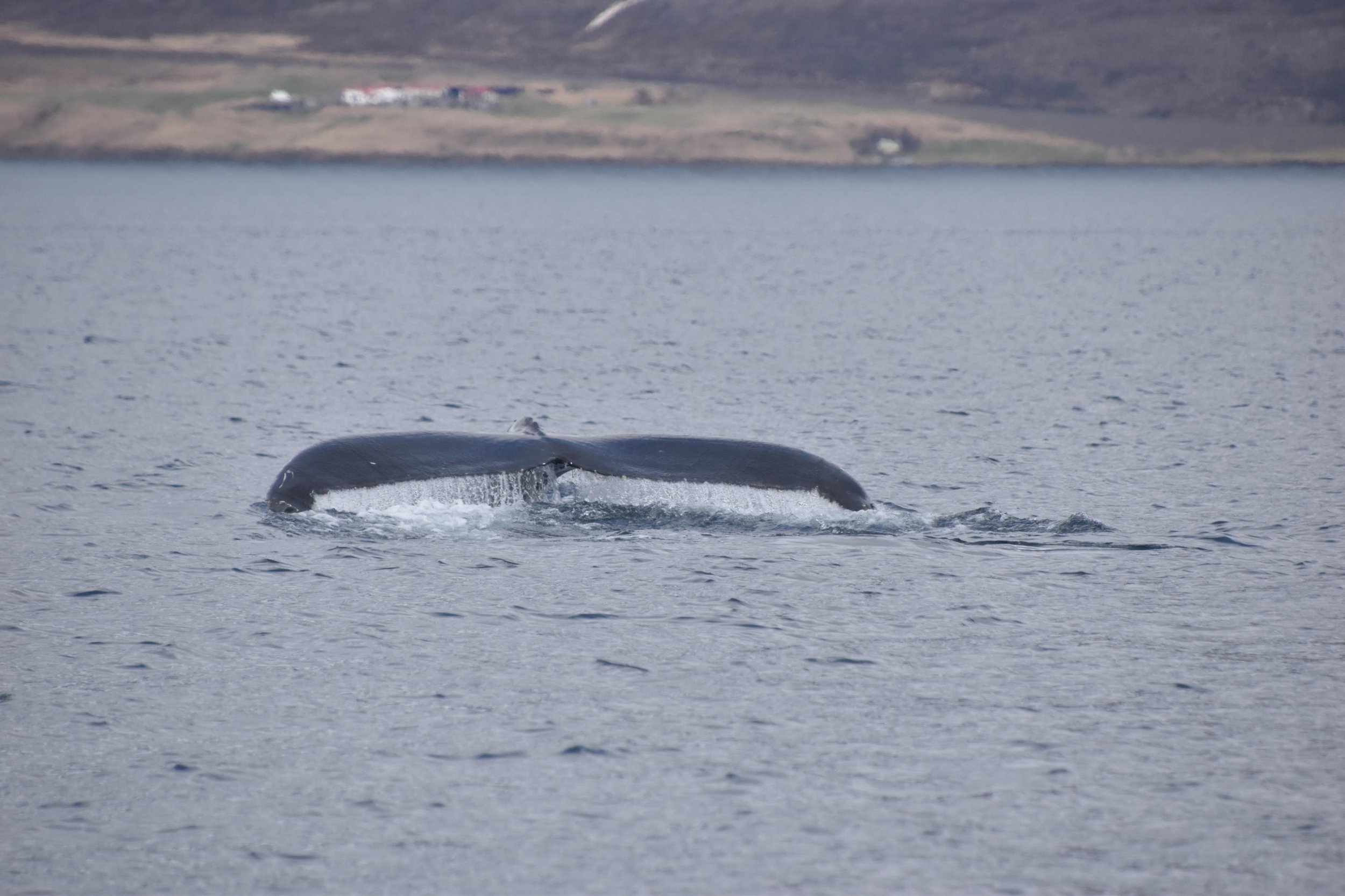 Wednesday, 19 April 2023
