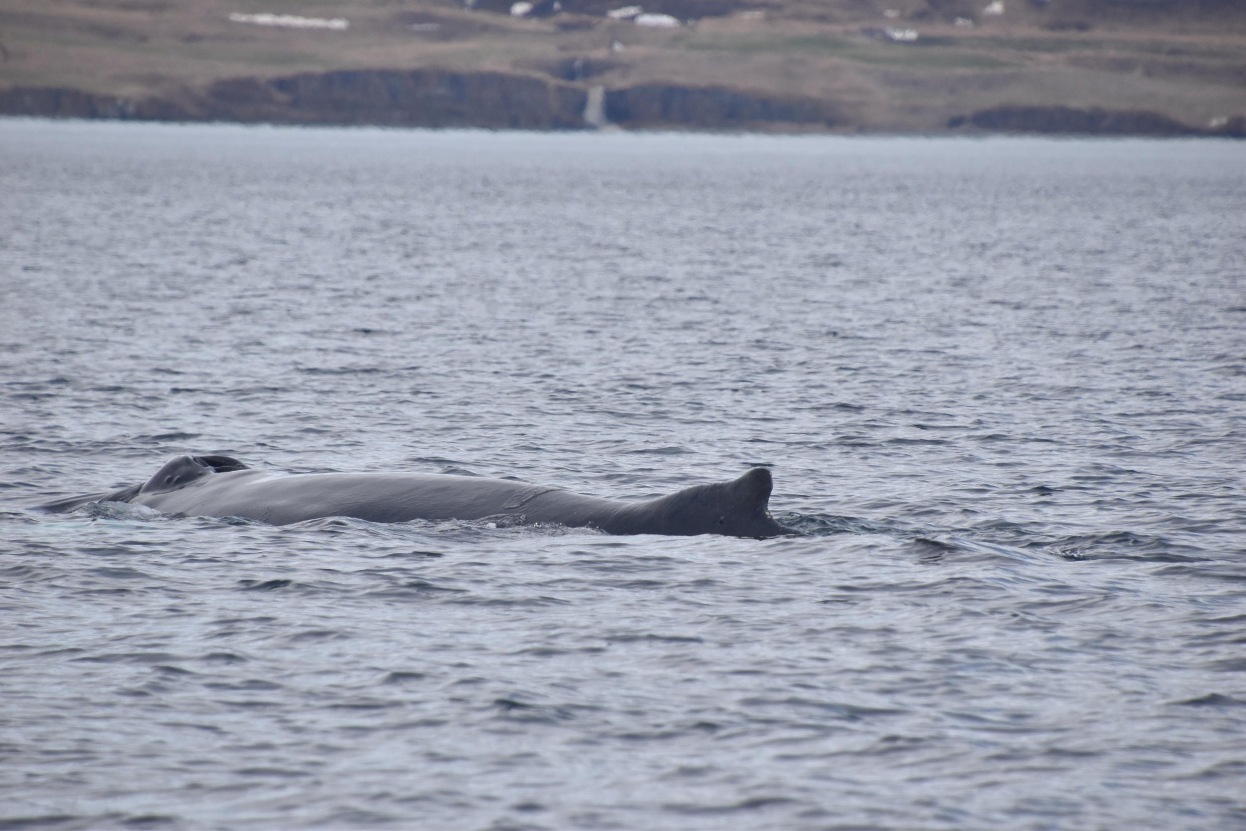Wednesday, 19 April 2023